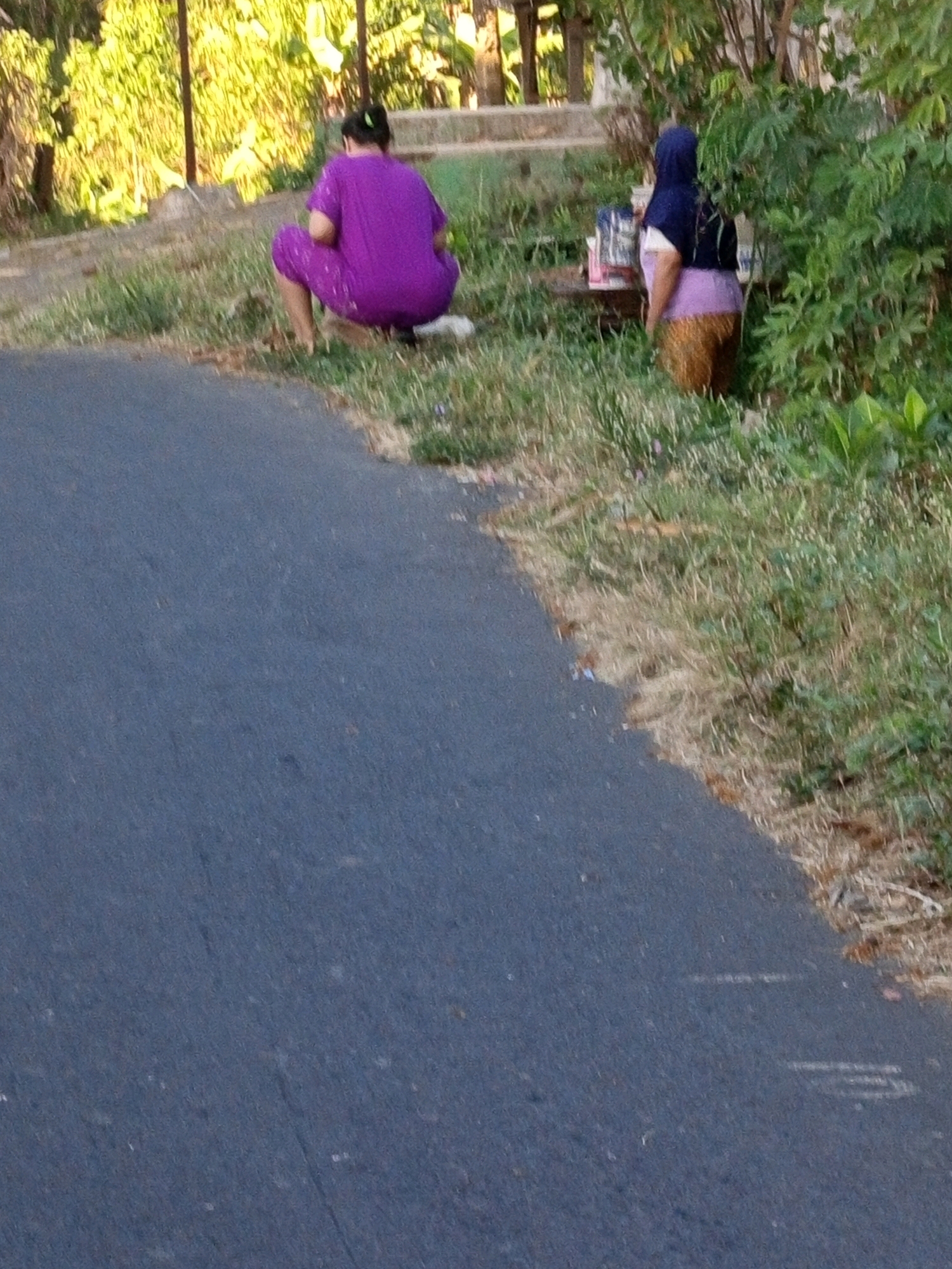 Two individuals are positioned on the grassy verge adjacent to an asphalt road. The person on the left, facing away from the camera, is crouched down and wearing a vibrant purple outfit. To the right, another individual, also facing away, is wearing a blue headscarf and a patterned skirt. They appear to be standing near a small stall or collection of items. The environment is characterized by lush green foliage and trees, suggesting a rural or semi-rural setting. The road surface shows some signs of wear. The lighting indicates it is daytime, possibly late afternoon given the warm tones. There is no clear indication of specific city landmarks that would definitively place this in Mulyorejo, Indonesia, beyond the assumption provided in the prompt.