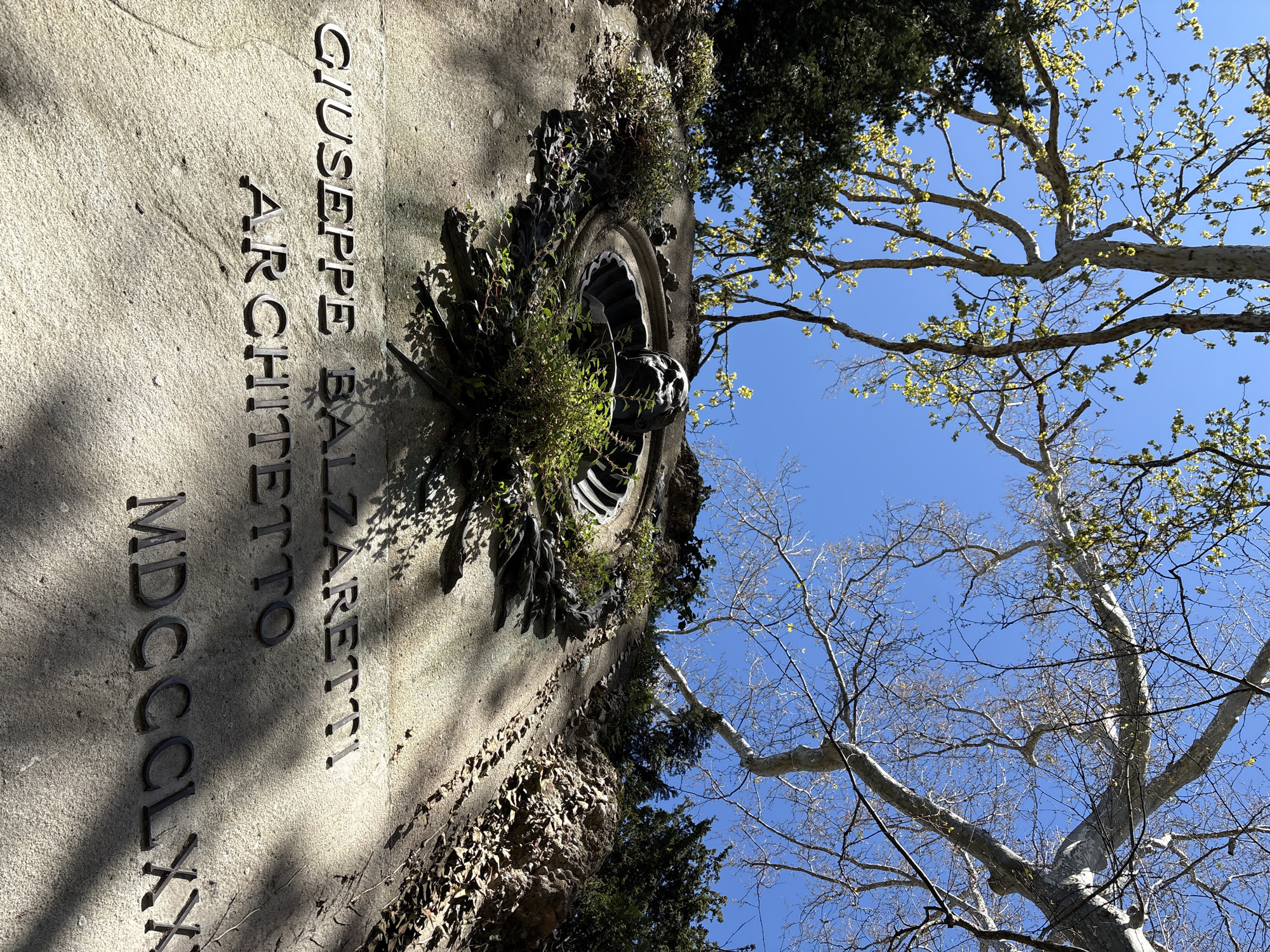 The image captures a partially obstructed, sideways view of a tombstone within the Cimitero Monumentale in Milan, Italy. The inscription on the light-colored stone reads "GIUSEPPE BALZARETTI ARCHITETTO MDCCLXX". A wreath-like fixture, encrusted with vegetation, adorns the tombstone above the inscription. The backdrop consists of the clear blue sky interspersed with the branches of trees, some displaying budding leaves and others bare. The scene suggests a bright, sunny day.