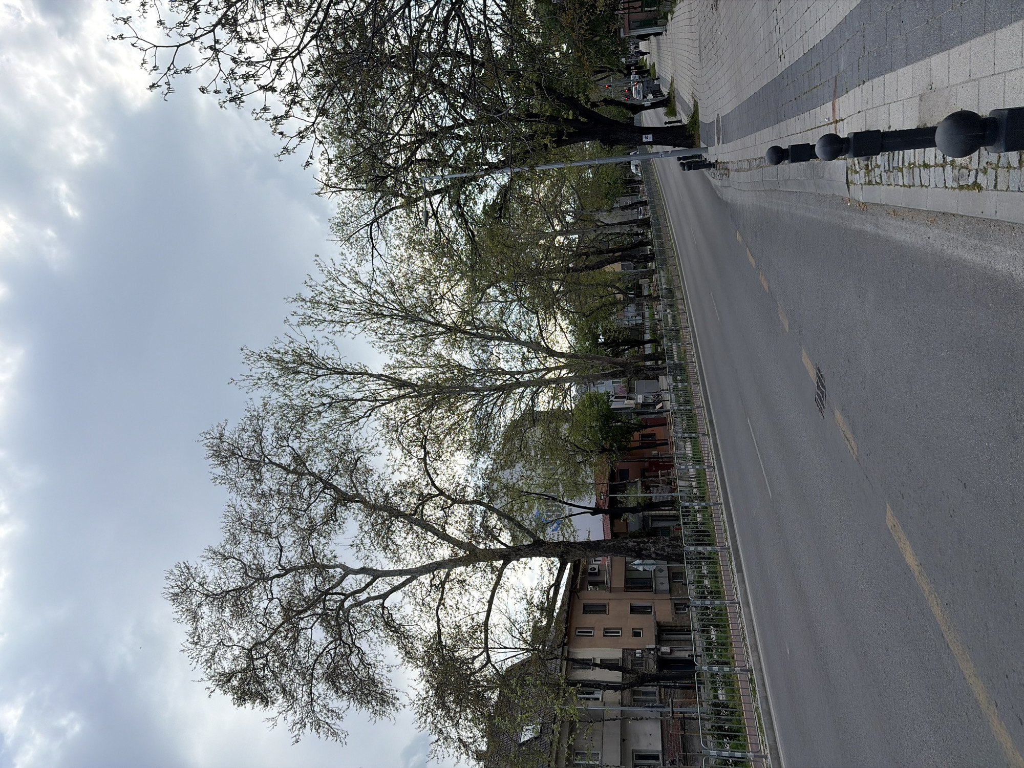 The image depicts a quiet, tree-lined street in Plovdiv, Bulgaria, on an overcast day, likely in late winter or early spring. The scene is oriented vertically in the original, but described here as if upright.
The asphalt road, with faint yellow dashed lines, stretches into the distance on the right, flanked by a paved sidewalk with black spherical bollards. A metal fence separates the road and sidewalk from a row of large deciduous trees, many of which are still bare-branched while others show early signs of budding light green leaves. Behind these trees, a variety of multi-story buildings with different facades line the street.
The sky is filled with soft, grey clouds, indicating diffused natural light. No people or active vehicles are visible, giving the street a serene and calm atmosphere. In the far distance, a red traffic light can be faintly observed. Small, unreadable white signs are attached to some tree trunks; one sign on a tree trunk on the left appears to show the number "56".