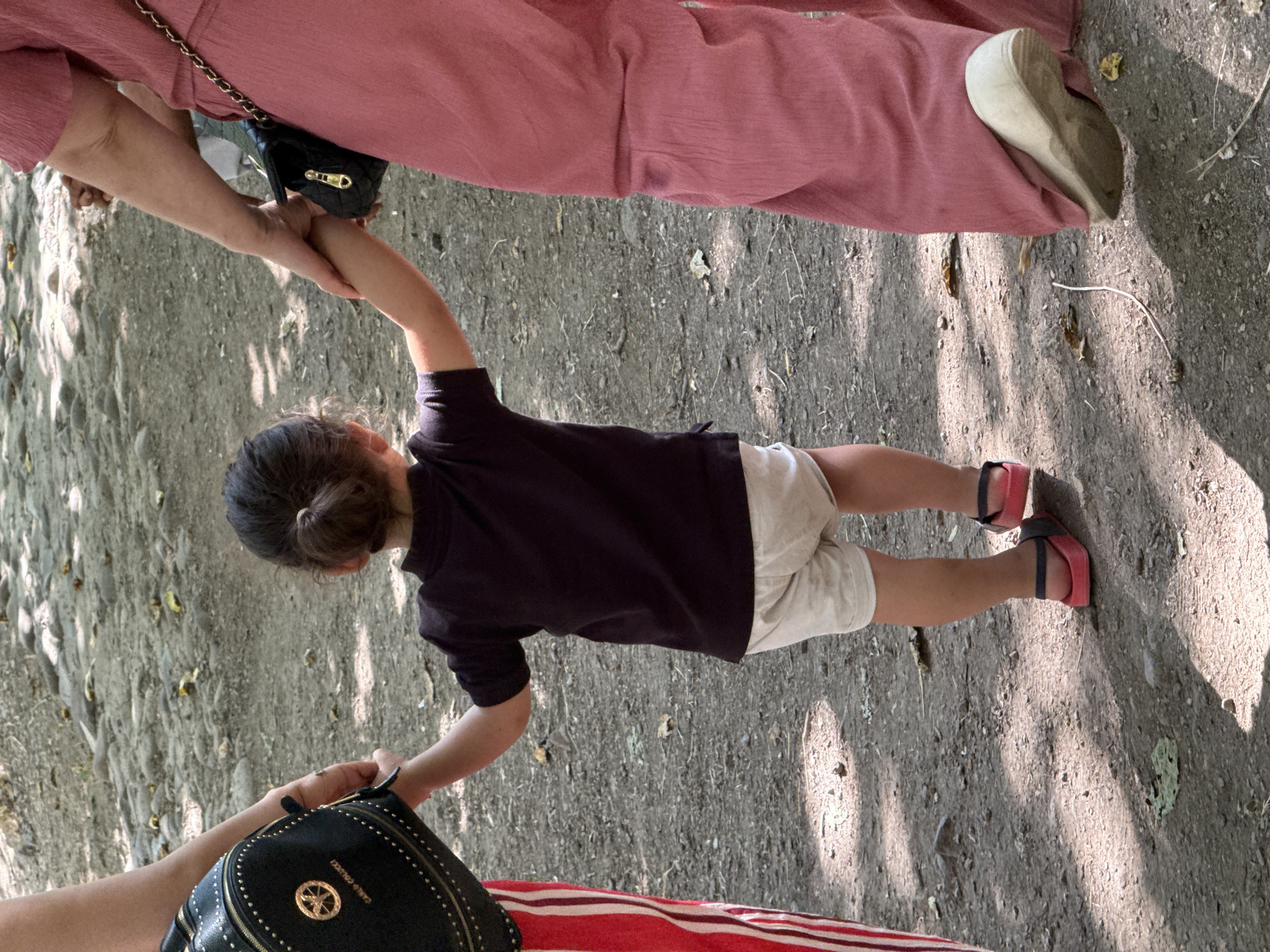 The image shows a rear view of a young child being led by two adults, one on each side, in an outdoor setting. The child, wearing a dark t-shirt and light-colored shorts, is holding hands with both adults. The adult on the left is wearing a black backpack with gold accents and red and white striped pants. The adult on the right is wearing a pink, flowing garment. The ground appears to be a dirt path with scattered leaves and stones, suggesting a natural or park-like environment. The lighting indicates a sunny day with dappled shadows. This scene could be taking place in a public park or walking trail.