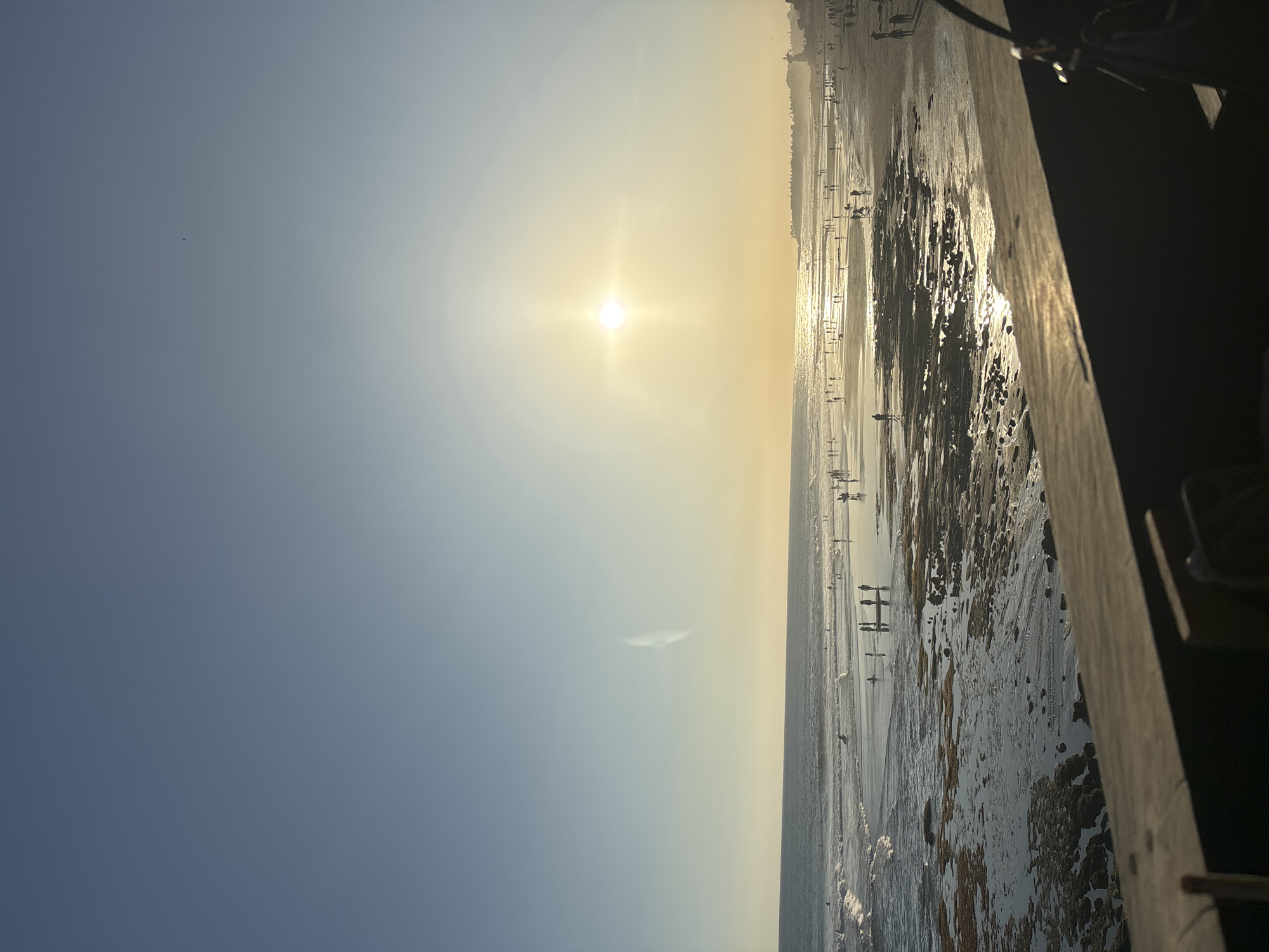 The image depicts a crowded beach scene on a clear day, with the sun high in the sky, casting a golden glow over the water and sand. The ocean, with moderate waves, meets a wide expanse of wet sand littered with rocks and tide pools. Numerous people are scattered across the beach, some wading in the water, others walking along the shore, and a few appear to be surfing. The coastline is lined with distant buildings and vegetation, suggesting a developed area. In the foreground, a dark, wooden railing partially obstructs the view of the beach, indicating the photograph was taken from an elevated vantage point, possibly a balcony or pier. The overall atmosphere is one of a lively, sun-drenched day at the beach.