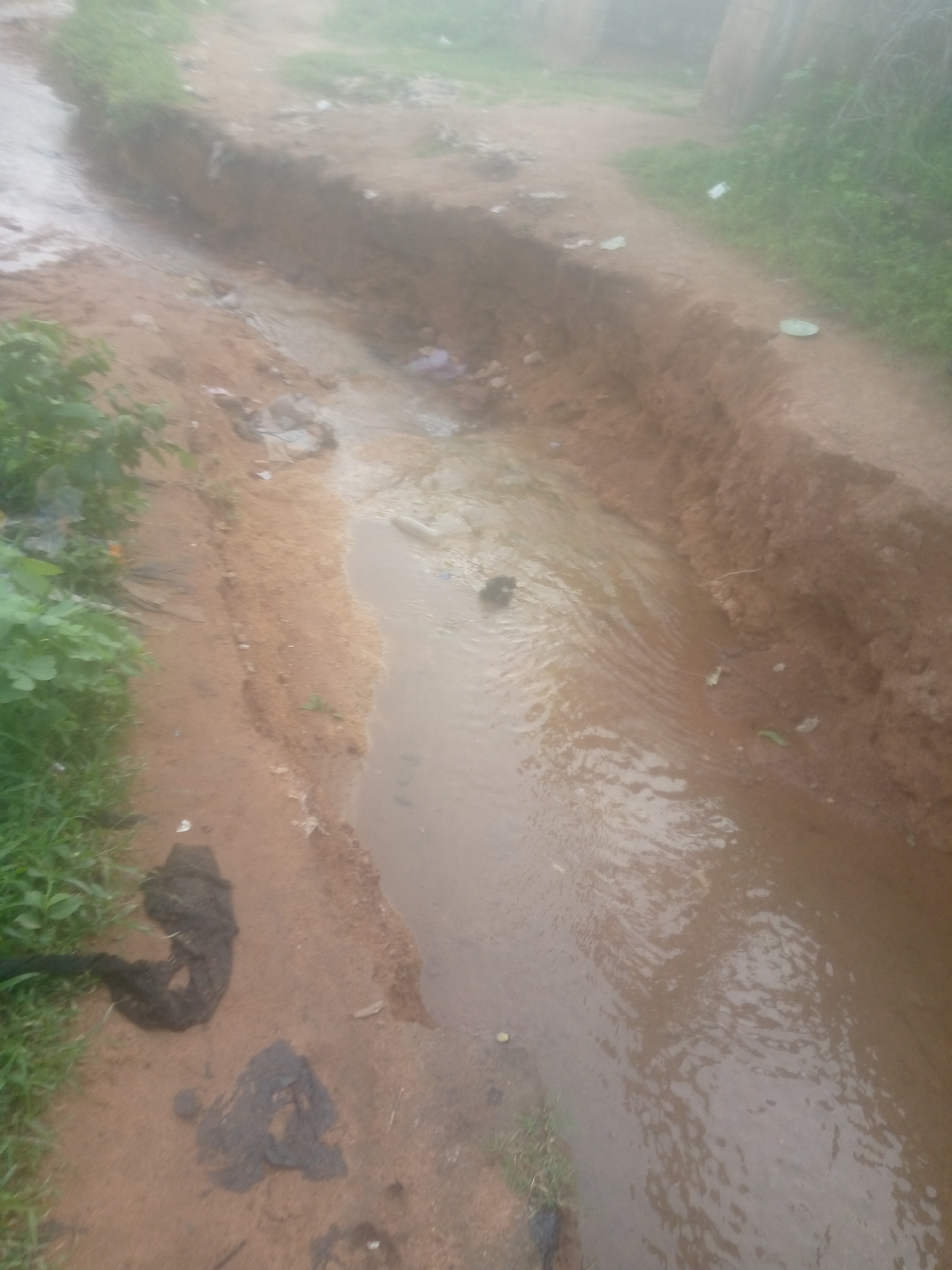 The image depicts a roadside ditch filled with muddy water, likely after rainfall. The ditch runs alongside a dirt path and is bordered by vegetation and what appears to be eroded soil banks. There are several pieces of debris, including plastic bags and possibly some refuse, visible in and around the water. The overall scene is somewhat obscured by fog or mist, suggesting overcast conditions. The presence of a drainage ditch in this condition is common in areas with inadequate infrastructure, and this scene could be representative of numerous locations within Jalingo, Nigeria, particularly in less developed or rural-like parts of the city. No people are visible in the image.