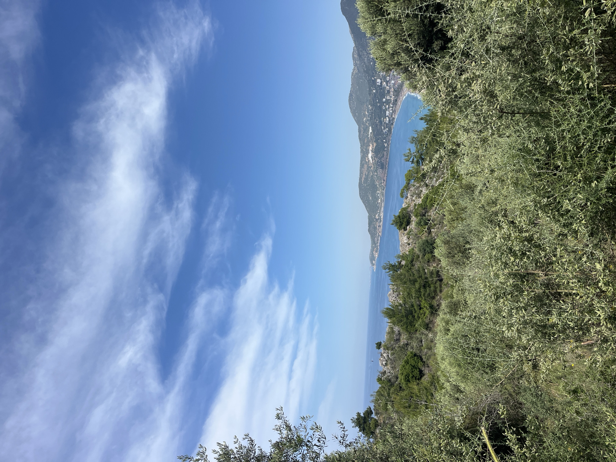 The image captures a daytime coastal scene in Alanya, Turkey. The sky is a clear blue with streaks of cirrus clouds. The turquoise sea stretches towards the horizon, where a mountainous coastline is visible. Along the right side of the frame, dense green vegetation, primarily olive trees, dominates. The perspective is from a high vantage point, likely a hillside overlooking the coast. No people are visible in the frame.