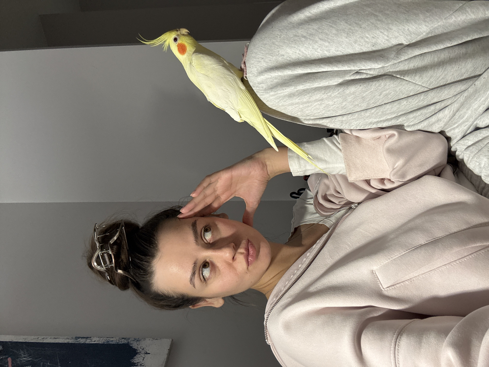 A woman with brown hair in a bun held by a silver clip is pictured indoors, wearing a pink zip-up sweatshirt. Her right hand is raised to her forehead. Perched on her left shoulder is a light yellow cockatiel with a bright orange cheek patch and a yellow crest. The woman is looking directly at the camera. The background is a plain gray wall. The location in the city of Krasnoyarsk, Russia is not discernible from the image.
