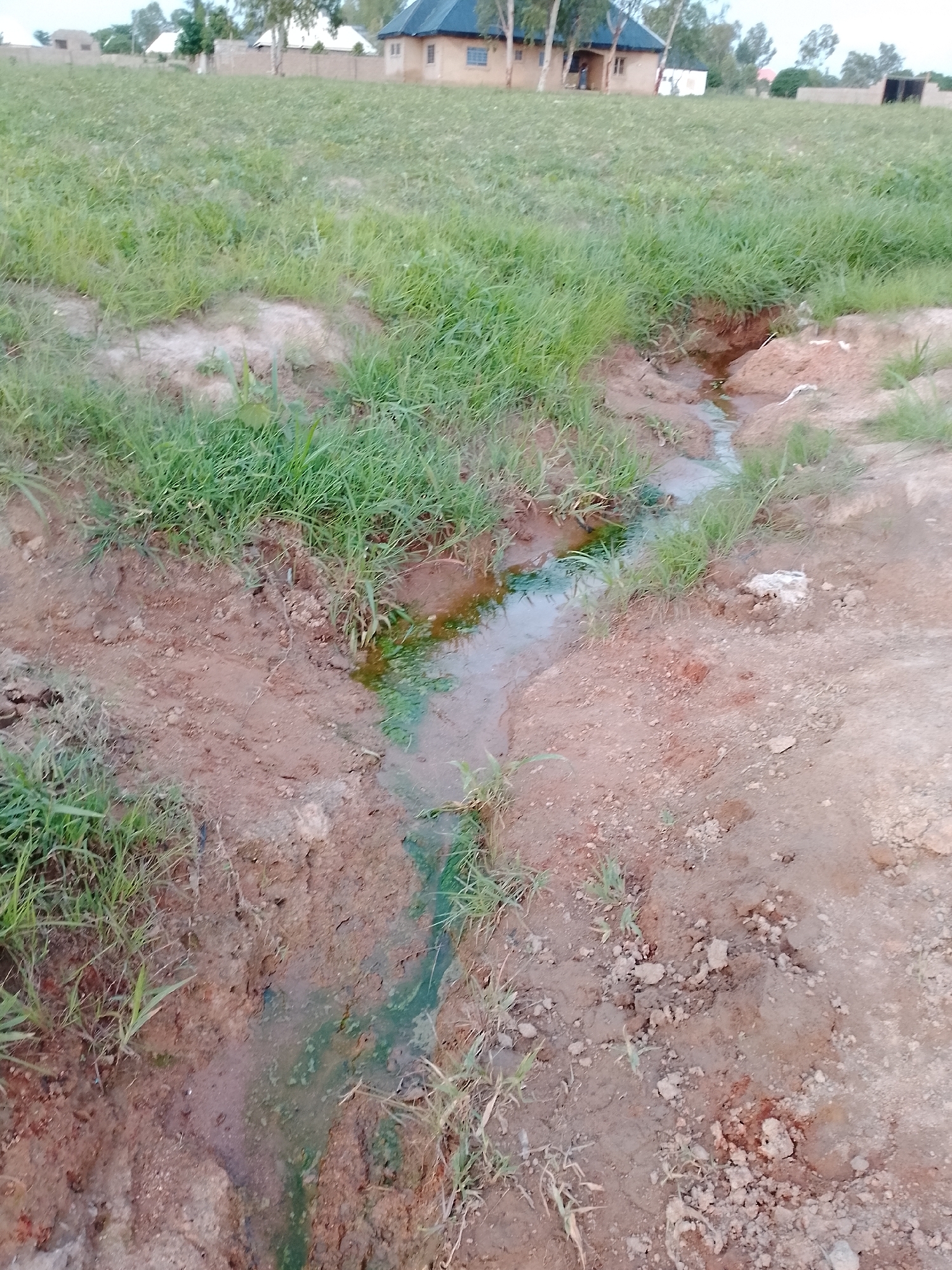 In Gbaza, Nigeria, a narrow stream of water flows through a dry, earthy area. The water appears to be discolored with a green tint, likely due to algae or sediment. The surrounding ground is a mix of dirt and patchy green grass, indicating a dry environment. In the background, several buildings with corrugated metal roofs are visible, suggesting a semi-rural or developing urban setting. The sky is overcast, casting a soft light on the scene.