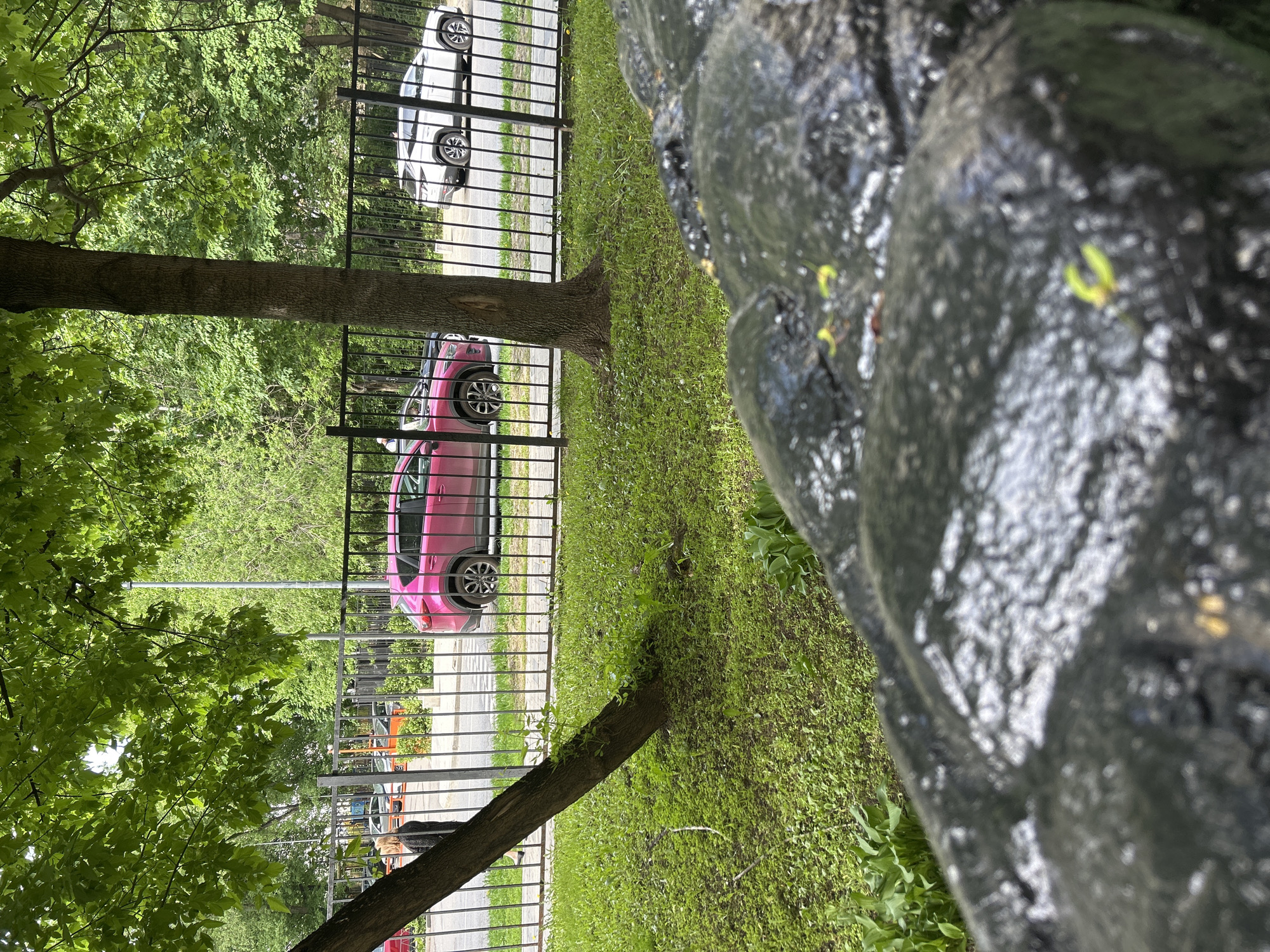 The image depicts an outdoor scene with a metal fence running parallel to a road. Behind the fence, there are trees, grass, and parked cars, one of which is pink. A tree trunk intersects the fence. The foreground contains a dark, possibly wet, rocky or textured surface. A person is vaguely visible on the other side of the fence.