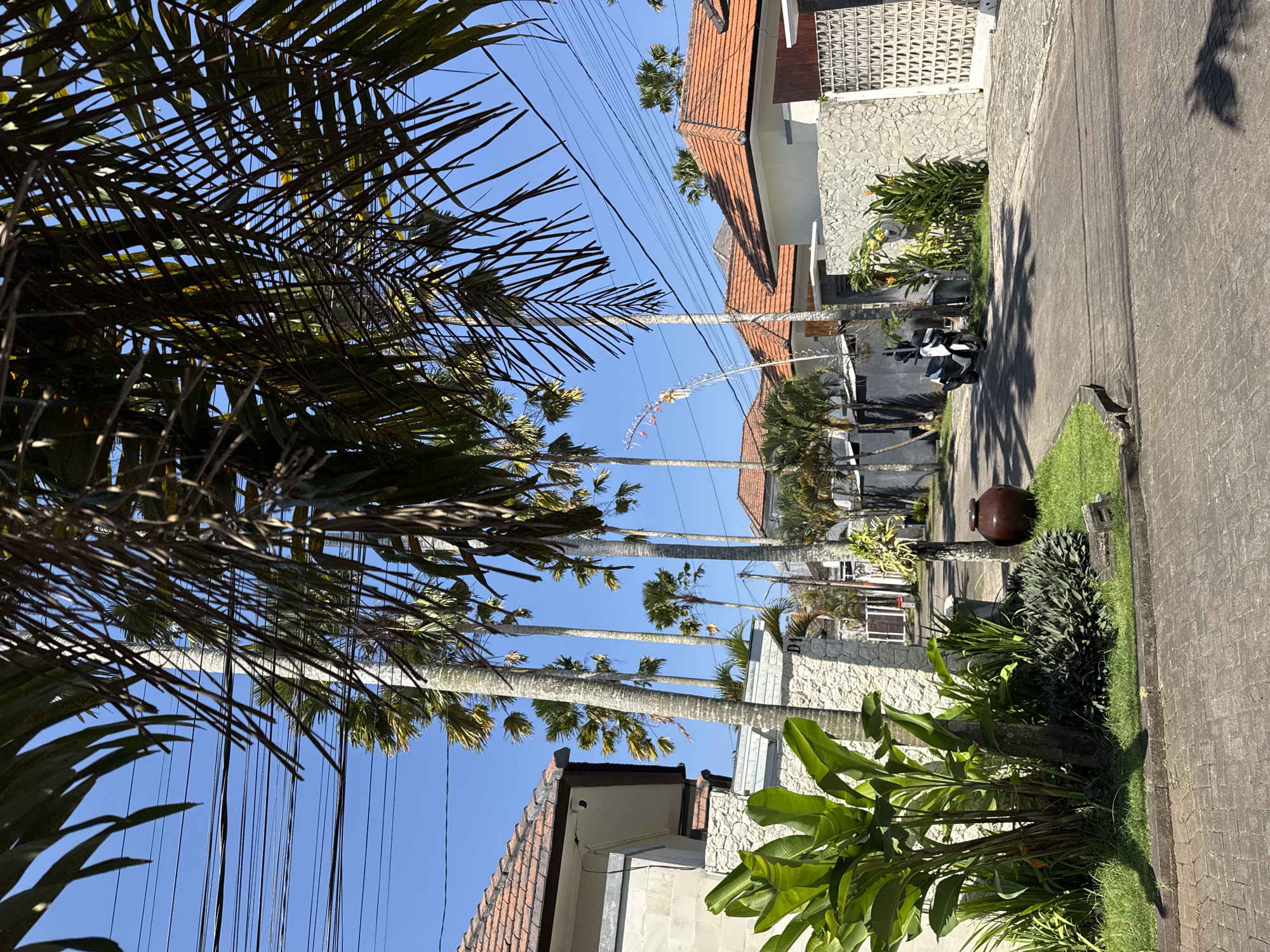 This is a photograph taken on a clear, sunny day, likely in Kuta Selatan, Indonesia, depicting a street scene with residential buildings and lush vegetation. The foreground features a paved walkway made of interlocking bricks, bordered by a neatly manicured lawn. Large, vibrant green plants, possibly banana trees or similar tropical foliage, dominate the left side of the frame, casting shadows on the walkway.
Further into the scene, a paved road winds through the neighborhood. Several tall palm trees with slender trunks and feathery fronds are visible, interspersed with other greenery. The buildings lining the street are single-story structures with terracotta tile roofs and walls constructed from a combination of light-colored stone and stucco. Some buildings have decorative stone walls and white latticed gates.
In the middle ground, a parked black and white scooter is visible on the right side of the road. A tall, slender decorative pole with colorful streamers, likely a Balinese banner or decoration, stands near the center of the image, adding a cultural element to the scene. Overhead, a network of electrical wires crisscrosses the bright blue sky, a common sight in many urban and semi-urban areas. The overall impression is one of a tranquil, tropical residential area.