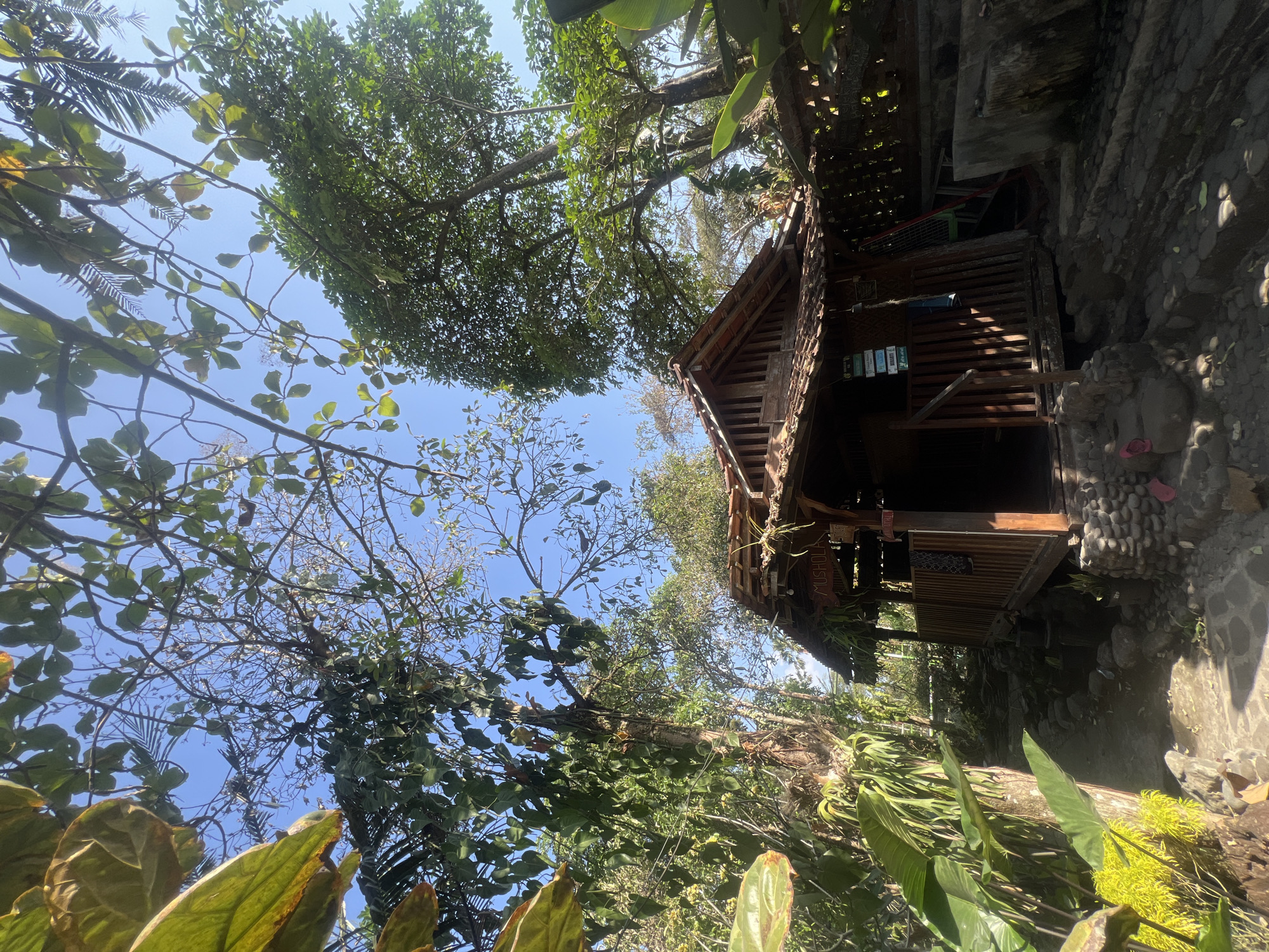 A wooden structure with a tiled roof, possibly a prayer room or small building, is situated amidst lush vegetation and trees. The building has a wooden deck with railings and is partially obscured by large leaves in the foreground. The ground in front of the building is covered with stones and a pathway. Signs are visible on the building, one reading "MUSHOLA." The sky is clear and blue. The image appears to be taken outdoors during daylight. The location is Tlogoadi, Indonesia.