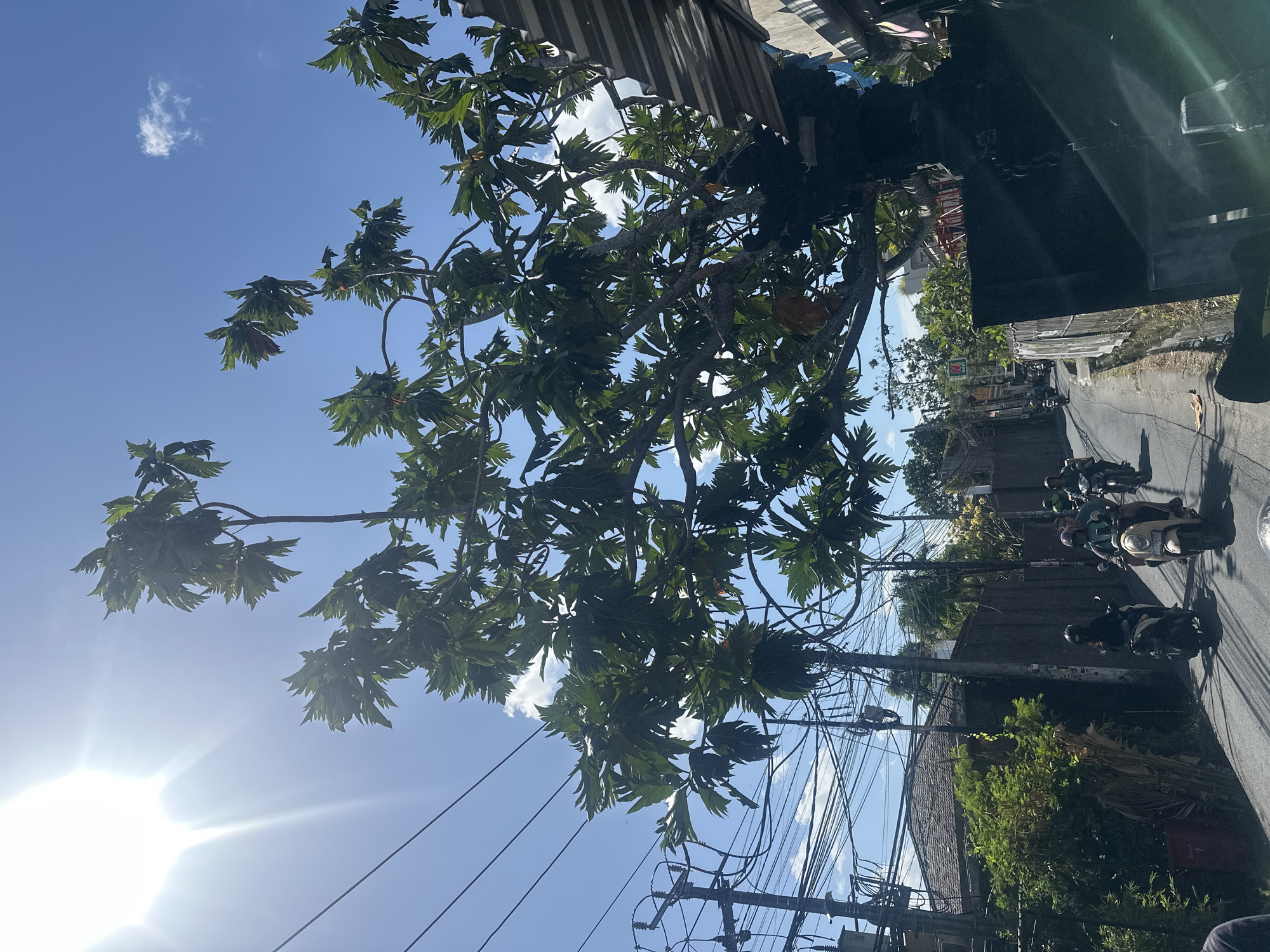 In North Kuta, Indonesia, a narrow asphalt road runs through a residential area under a bright, sunny sky with scattered clouds. A large tree with green leaves and some orange fruits overhangs the road, casting shadows. Several utility poles with a dense network of electrical wires are visible along the side of the road. On the road, a group of people are riding motorbikes, some with passengers. Buildings with tiled roofs and walls line the street, interspersed with lush vegetation. The scene captures a typical day in this Indonesian city, with motorbikes being the primary mode of transportation.