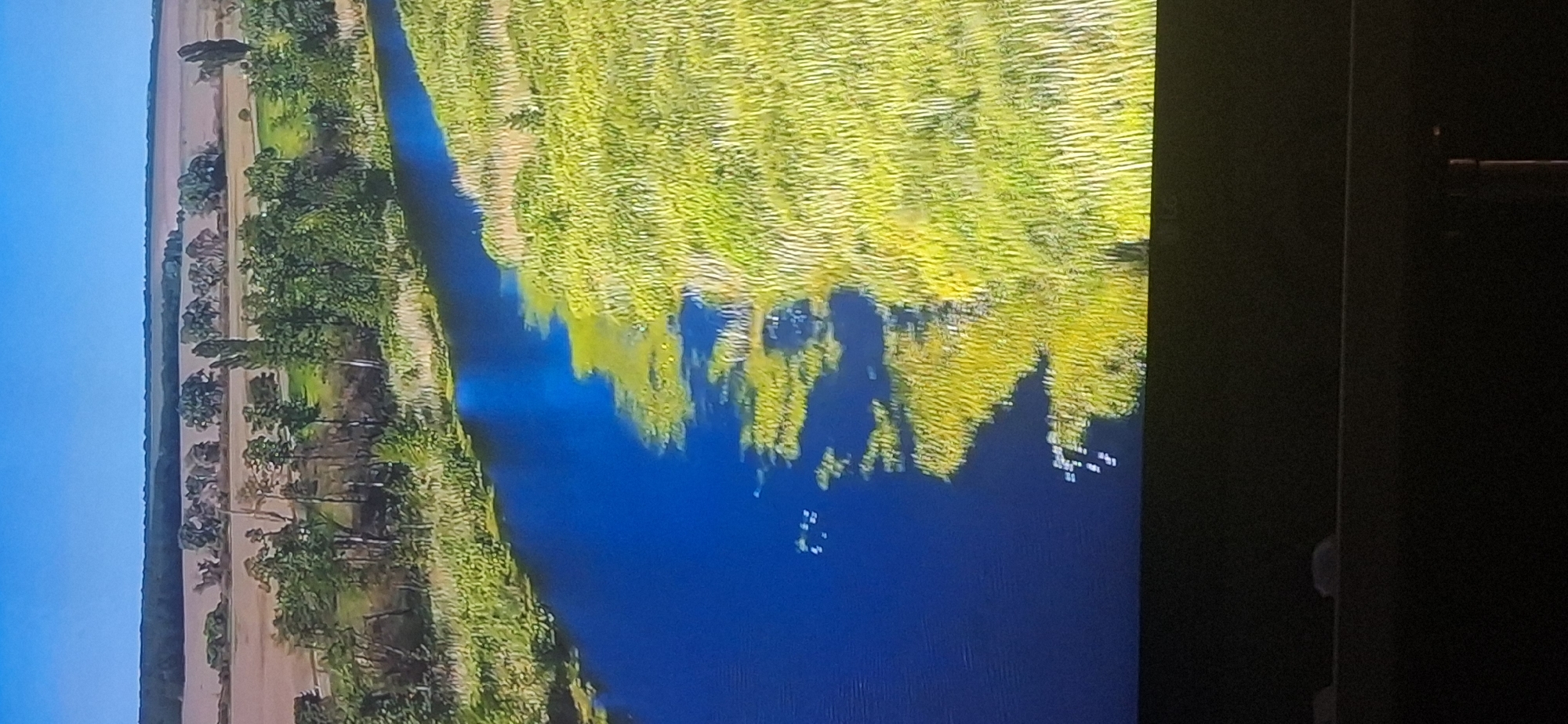 The image shows an aerial view of a river flowing through a rural landscape under a clear blue sky. The river is deep blue and bordered by vibrant green reeds and vegetation. Patches of yellow-green algae are visible floating on the surface of the water, particularly along the edges. In the distance, agricultural fields and scattered trees can be seen, suggesting a cultivated area. The scene depicts a natural waterway within a predominantly agricultural or park-like environment. There are no visible signs of human presence or activity in the immediate scene, such as buildings or vehicles. The photo appears to be taken from a high vantage point, possibly from a drone or aircraft. The location in Bila Tserkva, Ukraine, is not explicitly identifiable from the visual information presented in the image itself.