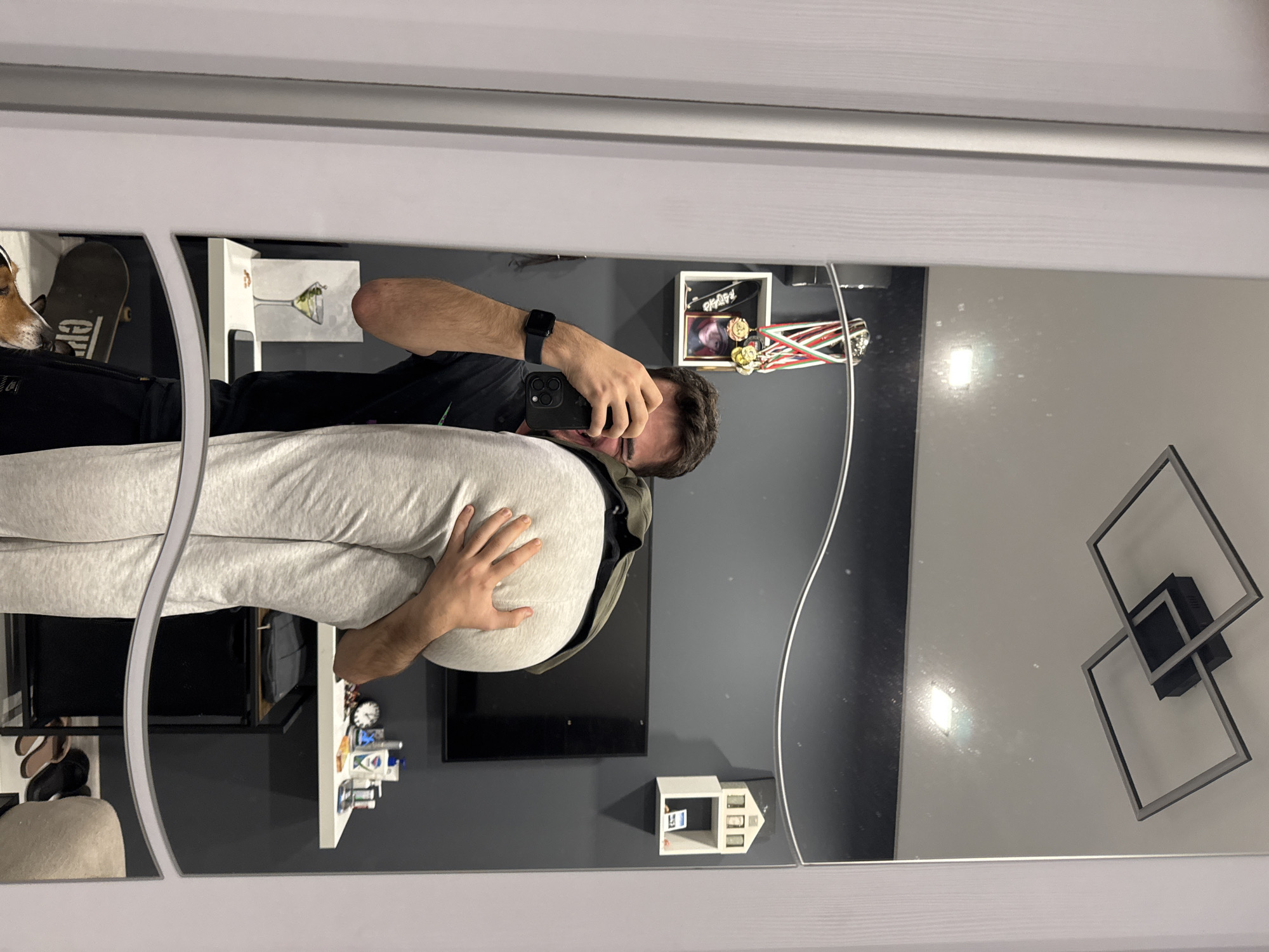 A reflection in a mirror shows a man holding a person wearing gray sweatpants, possibly a child, with his hand on their buttocks. The man is holding a black smartphone and wearing a black watch. The room is painted dark gray with a white accent wall, and features a skateboard on top of a shelf, artwork including a cocktail image, framed medals, a TV, a decorative house-shaped shelf, and a modern geometric light fixture. The location is likely a residence, possibly in Sofia, Bulgaria, based on the appearance of the room and architectural style.