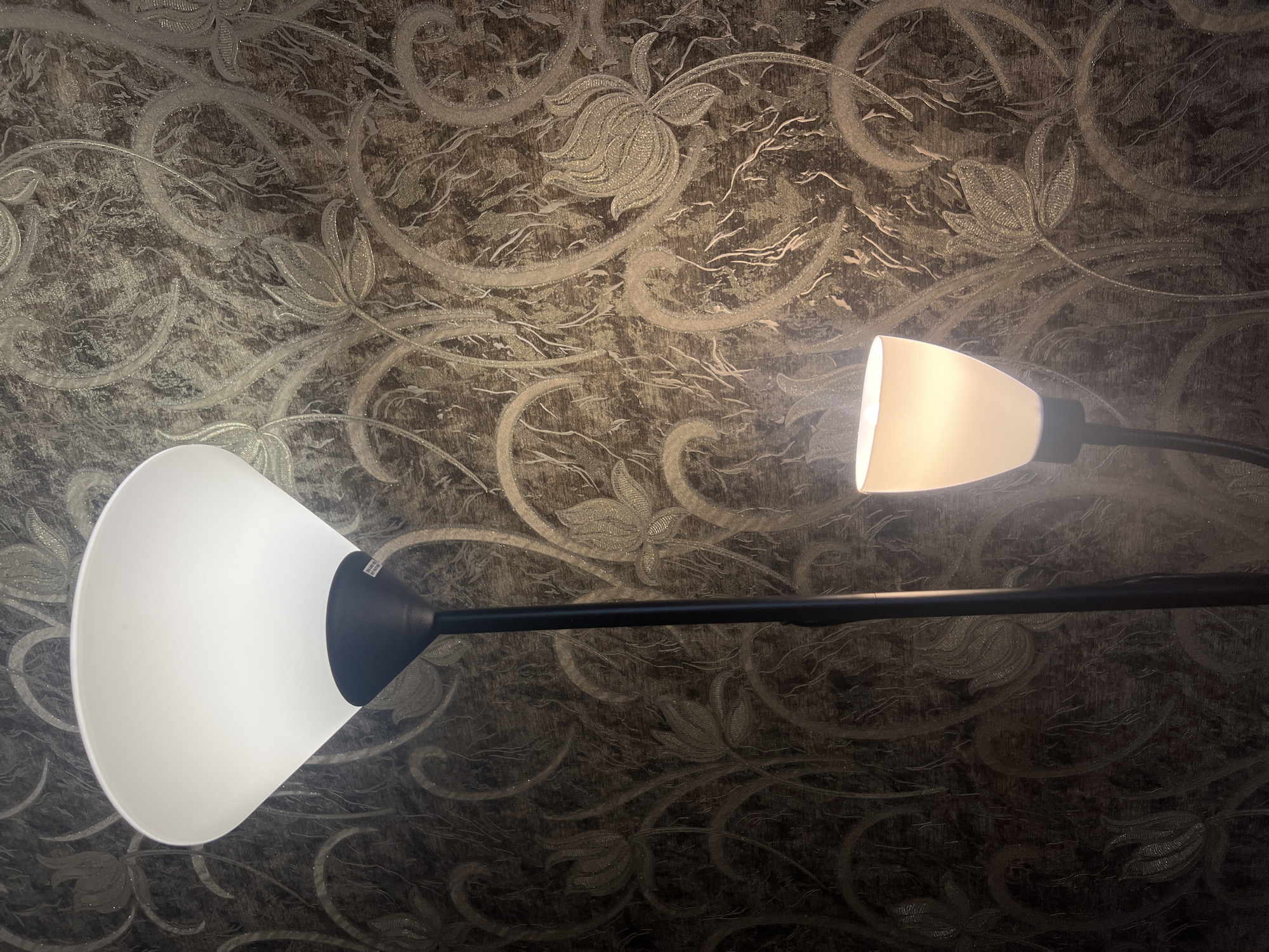 A low-angle shot shows a portion of the ceiling with a dark-toned, patterned wallpaper. The pattern is abstract and appears to be floral in theme, with looping lines and leaf-like shapes. Extending across the frame are two lights attached to a single, black, slender arm. The light on the left is larger and white, and it is illuminated, providing a brighter, diffuse light. The light on the right is smaller, off-white, and emits a slightly less intense light. The setting is unknown. No specific location information can be extracted from the image. There is no evidence to suggest it is in Boguchar, Russia.