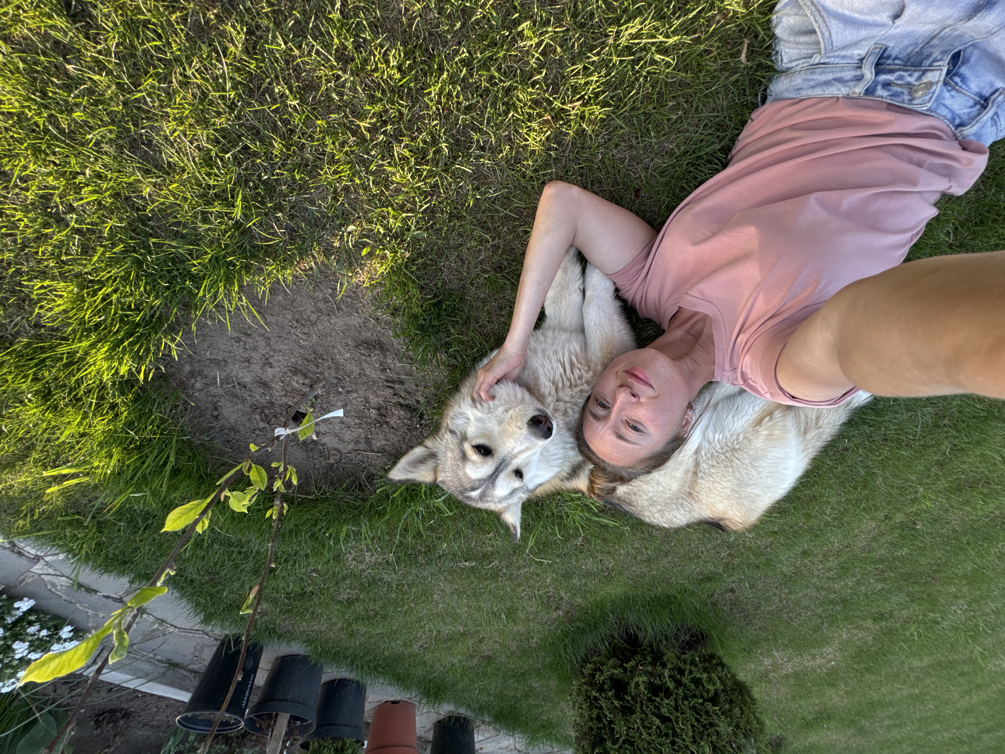 A woman and a dog lie on the grass in Прикамский, Russia. The woman is lying on her back, wearing a pink t-shirt and blue jeans. She is holding the dog with her left arm. The dog is mostly beige and grey, lying on its side, and looking at the camera. They are both lying on a patch of green grass. Next to them is a small tree sapling recently planted. There are black pots with dirt and small tree saplings standing in a line behind the small sapling. There is a small green bush in the corner of the picture. The image is taken from a high angle, with the person's arm extended to take a selfie.
