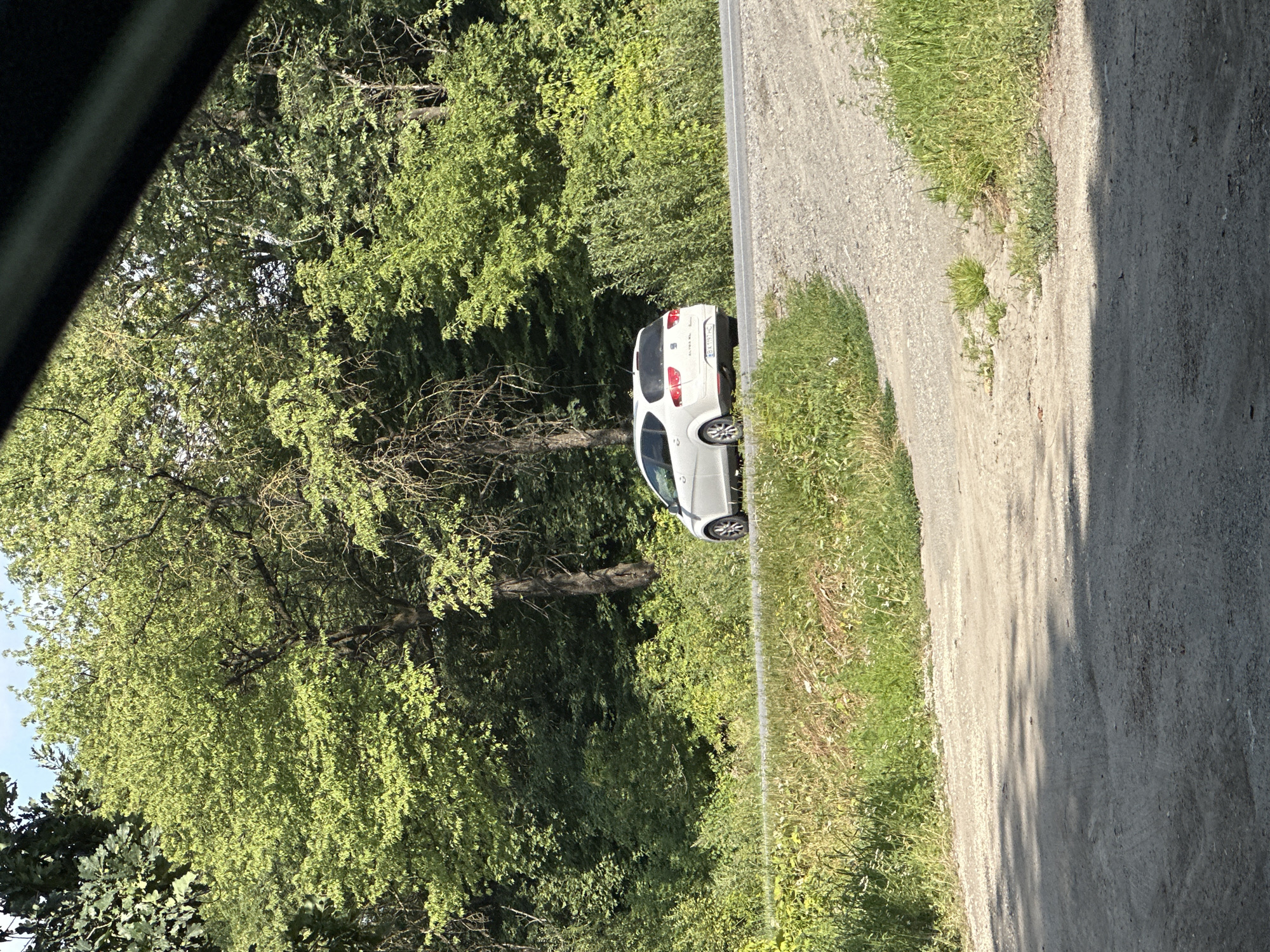 In Shatava, Ukraine, a white hatchback car is traveling on a paved road that curves to the right. The car is positioned in the middle of the frame, facing away from the viewer, with its rear clearly visible. The road is bordered by a gravel shoulder on the right and a grassy embankment on the left, which is partially obscured by a dirt path in the foreground. A dense forest with lush green foliage lines the backdrop, with a clear sky visible through the branches. The sun is shining, casting shadows on the dirt path and illuminating the scene.