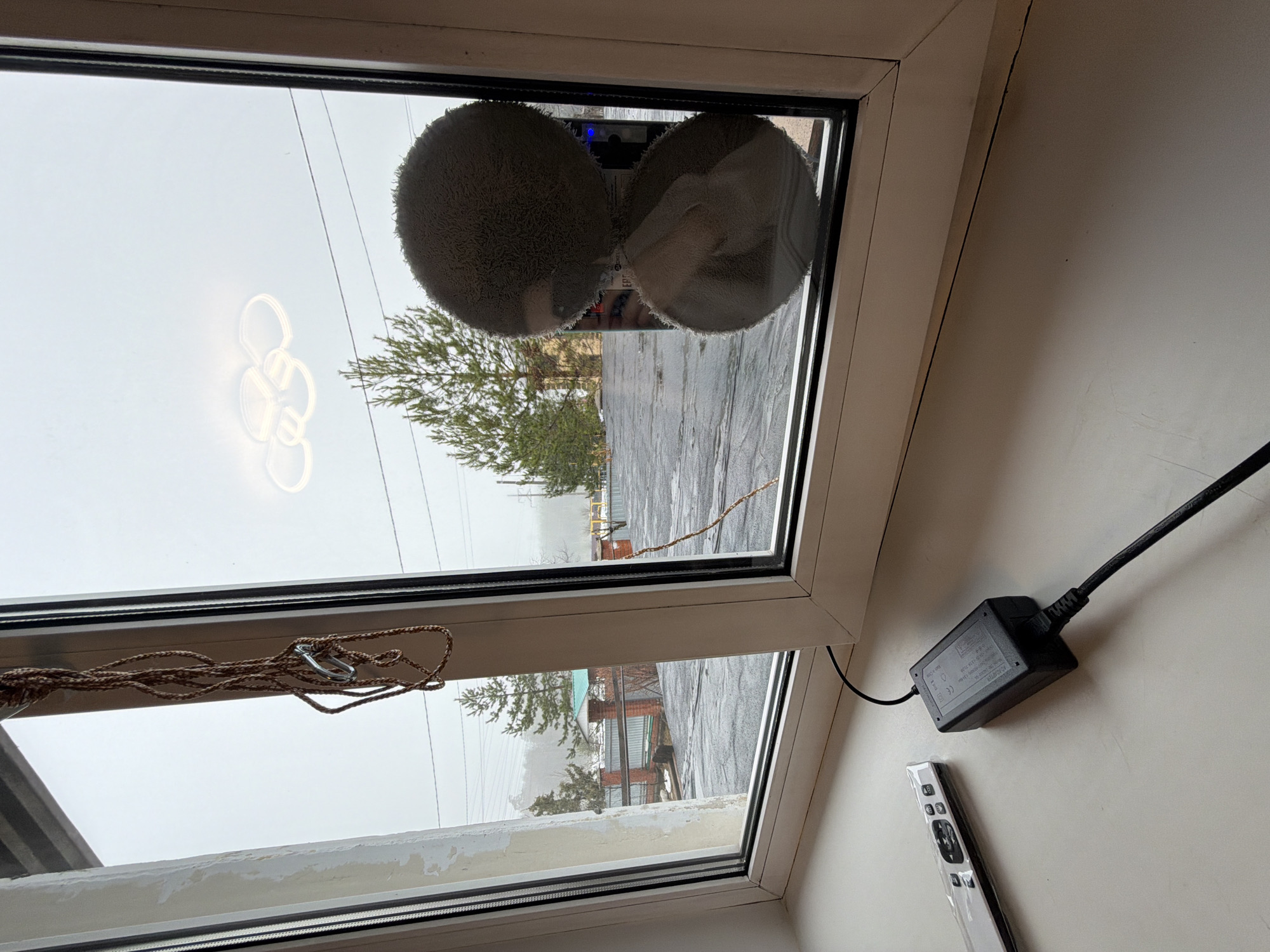 The image shows a window being cleaned by a window-cleaning robot. The robot consists of two round pads that appear to be covered in microfiber cloth. The window offers a view of the outside, including trees and what appears to be a residential area. A power adapter and a remote control for the robot are on the windowsill. There is a rope or cord visible on the left side of the window. Based on the reflection in the window and the presence of Russian text on the power adapter, the location is identified as the city of Chaikovsky, Russia.