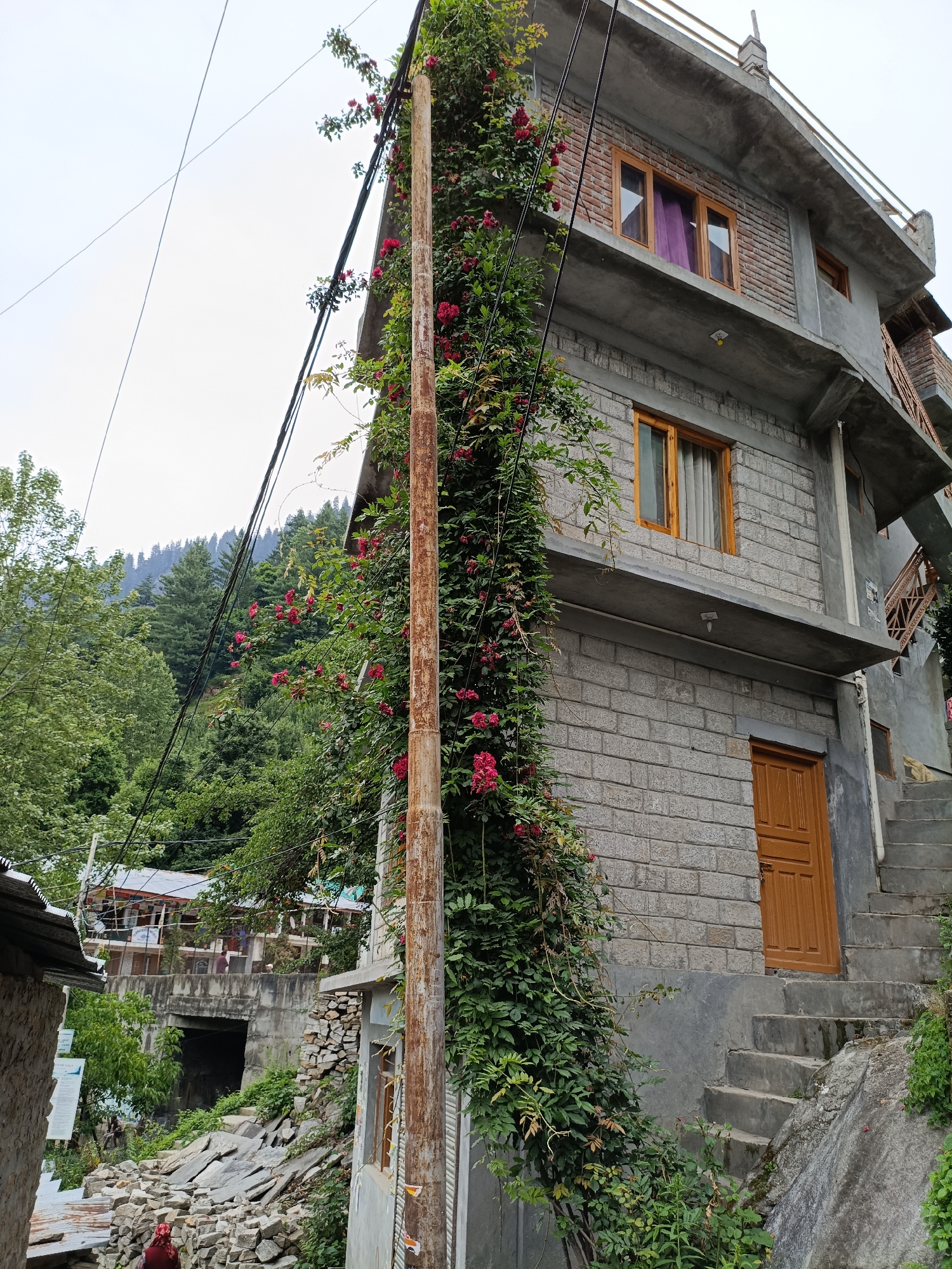 In the town of Vashisht, India, a multi-story building constructed with grey brick and concrete stands amidst lush greenery and a mountainous backdrop. The building features multiple levels, with visible windows and a wooden door. A prominent utility pole, heavily draped with climbing vines and vibrant red flowers, runs vertically along the side of the building. Overhead, electrical wires crisscross the sky, connecting to the structure and other unseen points. The foreground shows a pathway with scattered stones and a glimpse of another building, suggesting a residential or commercial area nestled in the hillside. The overall scene depicts a blend of human construction and the natural environment, characteristic of many Himalayan towns.
