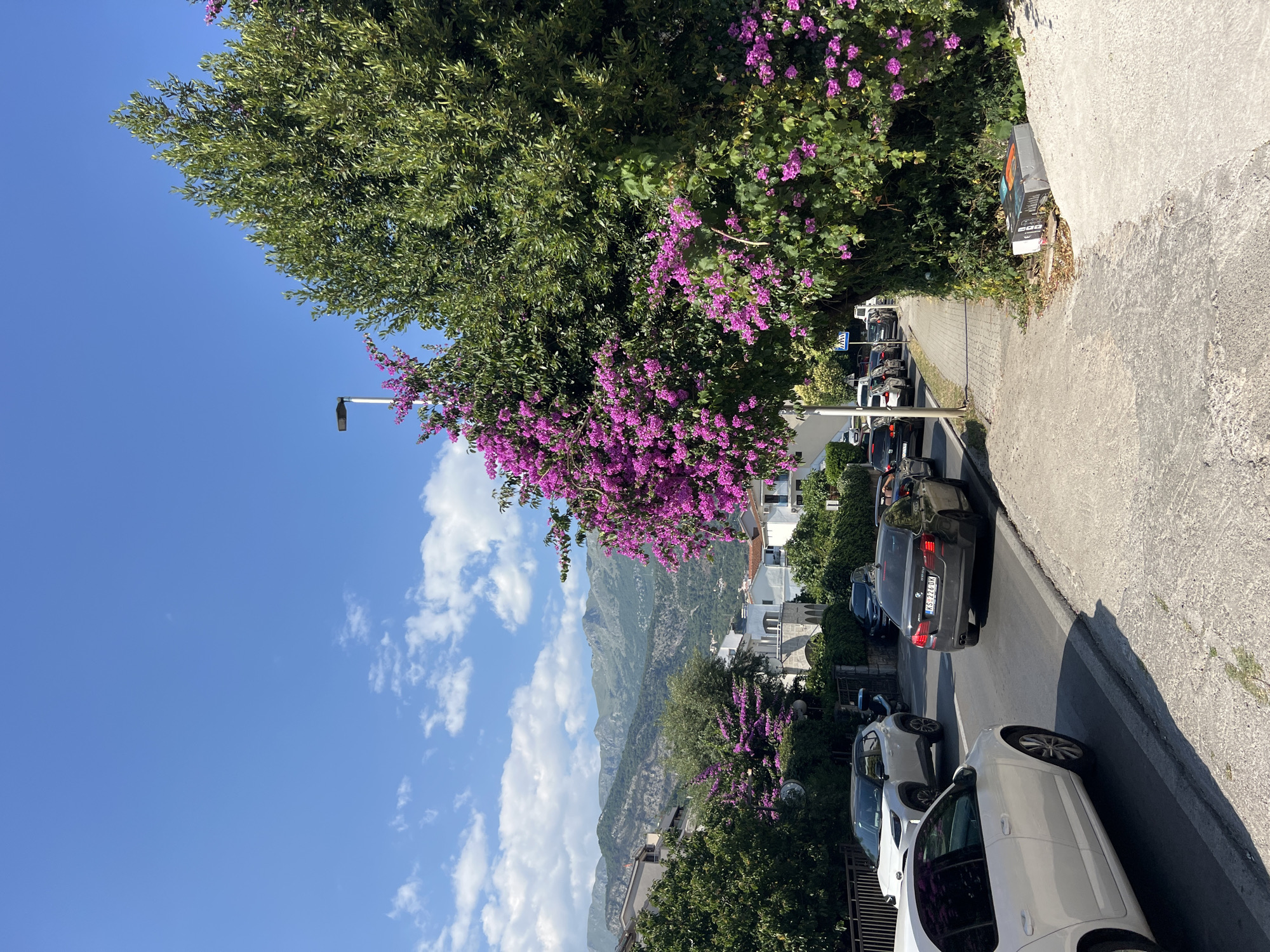 In Budva, Montenegro, a street scene unfolds under a clear blue sky dotted with white clouds. The road is lined with lush green trees, some adorned with vibrant pink bougainvillea flowers, creating a colorful contrast against the backdrop of a mountain range. Several cars, including a white Skoda and a dark-colored BMW with license plate KS-224-OK, are visible on the street, suggesting moderate traffic. A pedestrian walkway runs alongside the road, bordered by more greenery and some residential buildings with white facades. On the sidewalk, a discarded cardboard box, partially open and containing what appear to be electronic devices, lies near the curb. The scene captures a typical day in a Mediterranean town, with a blend of natural beauty and urban life.