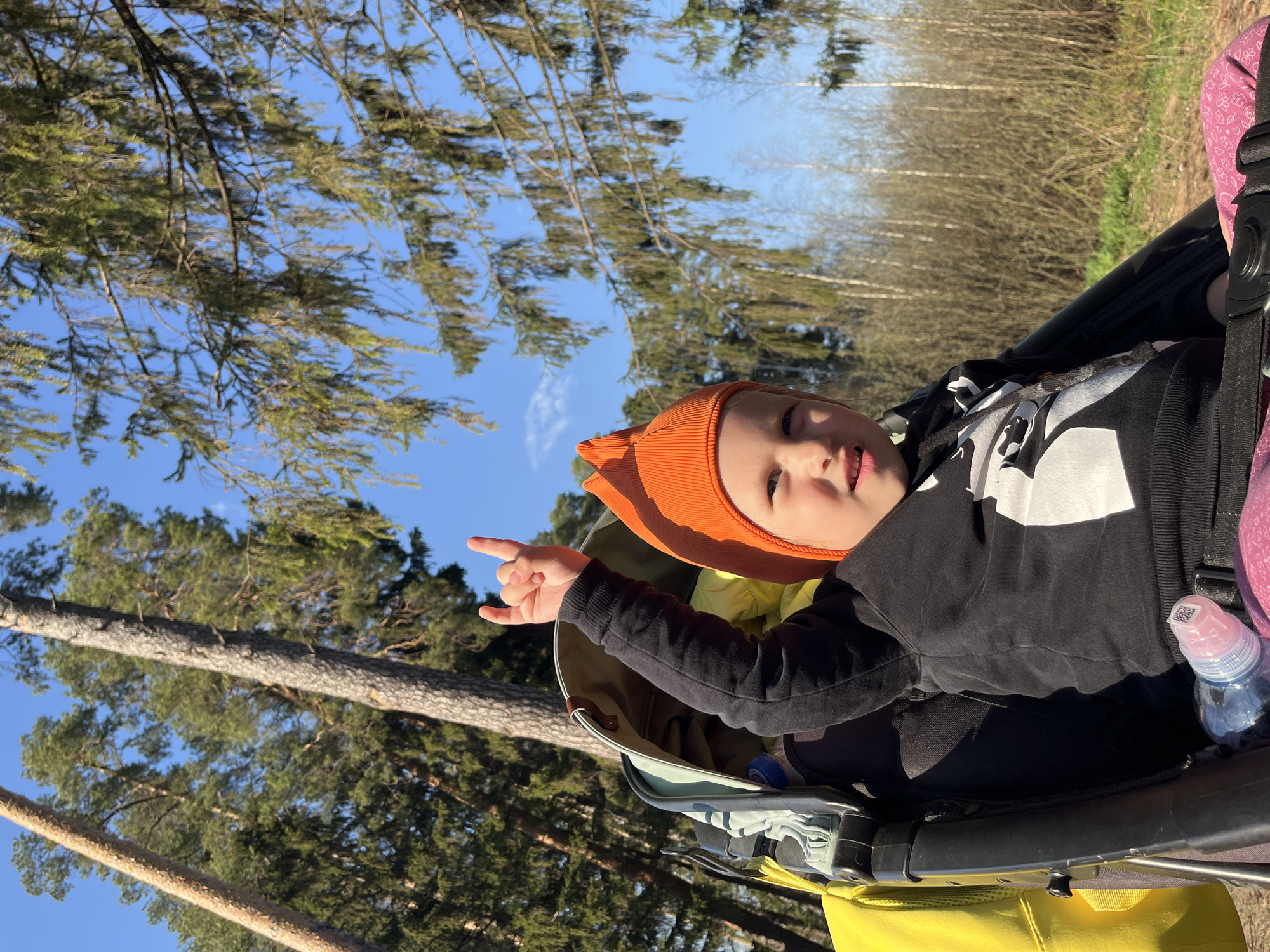 A young child wearing an orange hat and a black hooded sweatshirt is seated in a stroller. The child is pointing with their left hand, and a partially visible water bottle is in the stroller. The stroller has a yellow base and a gray lining. The background shows a forest and a clear blue sky. The photo was likely taken in a park. There is no information available in the picture to confirm that the location is the city of Chaikovsky, Russia.
