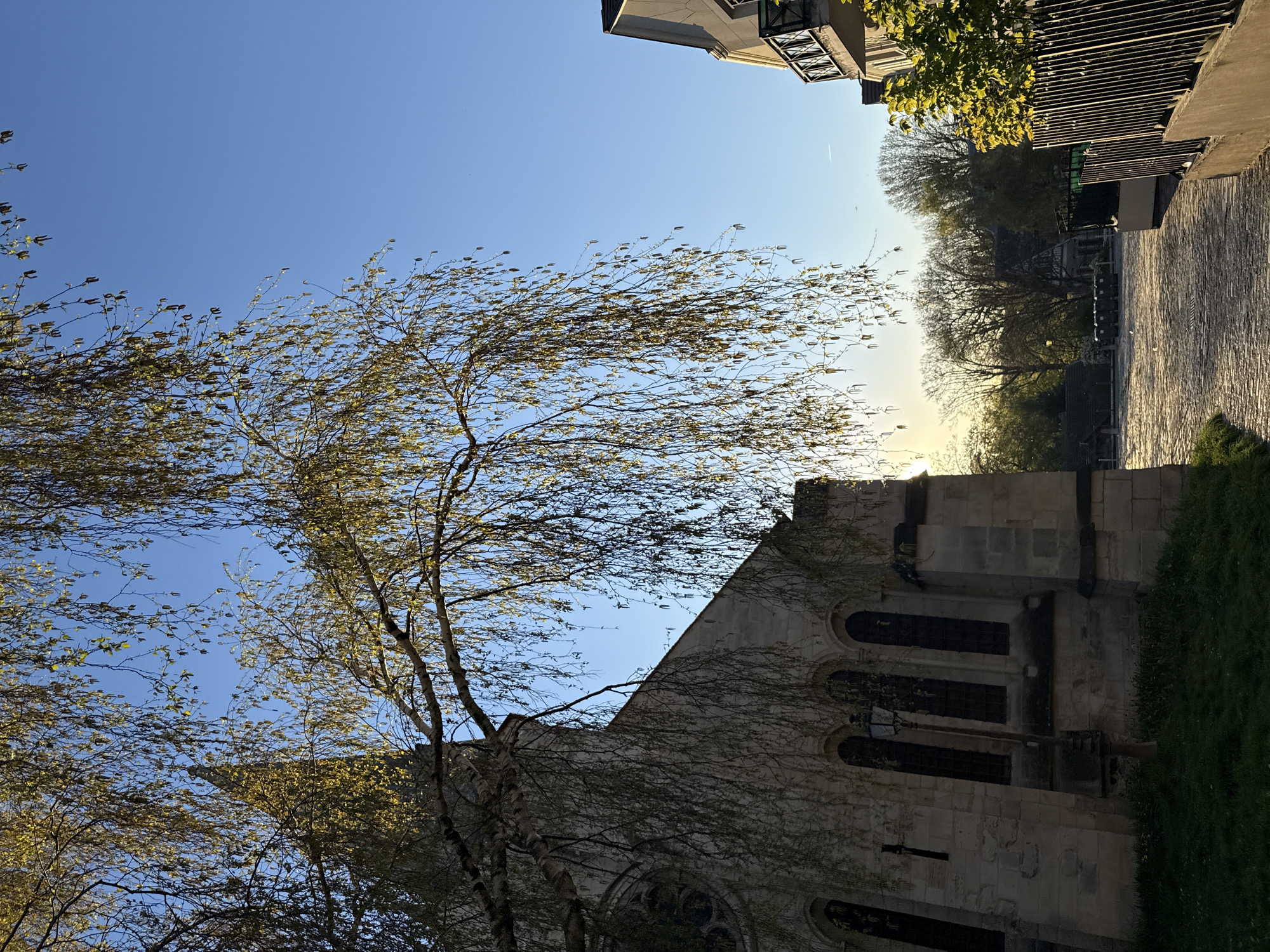 An angled, low-angle shot features a stone building with arched windows, possibly a church or historical structure, partially obscured by a thin tree with sparse leaves. The sky is blue, and the sun appears to be setting or rising, casting a bright light in the distance. A street or paved area is visible in the background, bordered by trees and a fence. The location is likely in Sarcelles, France. No people are visible.