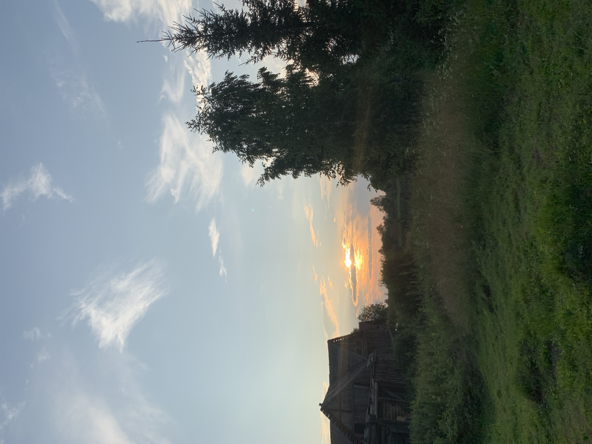 The image depicts a rural landscape at sunset in the city of Zasechnyi, Russia. In the foreground, a grassy field slopes gently upwards, with patches of wildflowers and taller grasses. To the left, an old wooden structure, likely a barn or a house, is visible. Its roof is weathered and partially collapsed, and its wooden beams are exposed. Behind the structure and extending across the midground is a dense line of trees and bushes.
Dominating the right side of the image are two trees: a tall, dark evergreen on the right and a large deciduous tree with full foliage to its left. The sun is setting on the horizon, casting a warm glow and creating a soft orange and yellow light that illuminates the clouds. The sky is a gradient of pale blue at the top to a warmer hue near the horizon, with thin, wispy clouds scattered throughout. No people or animals are present in the scene. The overall atmosphere is one of tranquility and rustic simplicity.
