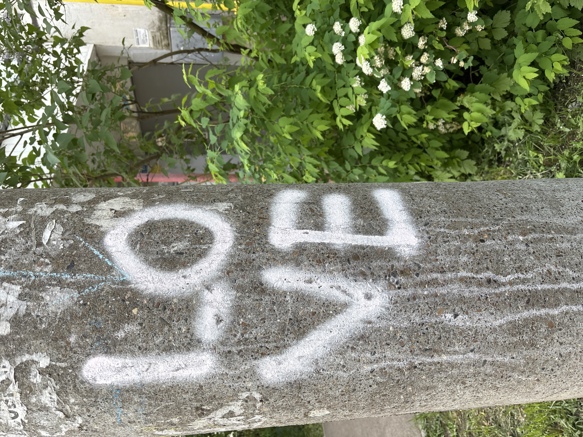 The image shows a concrete structure with the number "97" spray-painted in white. The background features greenery, including a bush with white flowers. The location is Izhevsk, Russia.