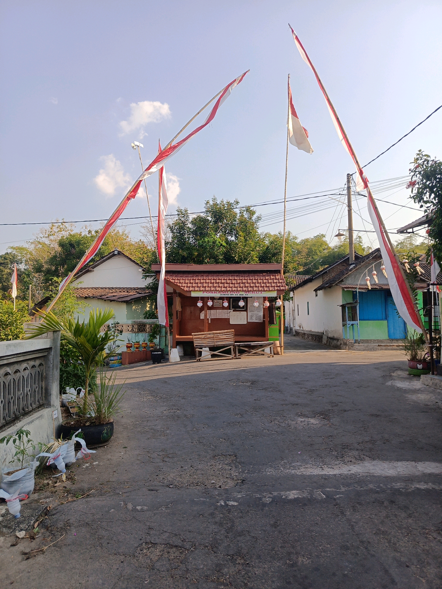 The image depicts a street scene in Baleasri, Indonesia, likely in a rural or suburban residential area. The street itself is paved and appears to be in moderate condition with some cracks and uneven patches. On either side of the street are modest houses with tiled roofs. The house on the left has a white facade, while the house on the right is painted with blue and green accents.
Dominating the scene are several Indonesian flags, characterized by their red and white stripes, flown from tall poles made of bamboo. These flags are positioned at intervals along the street, adding a festive or patriotic element. In front of the houses, there are various potted plants and some small decorative items, including what appear to be repurposed plastic bottles used as planters.
A small wooden structure, possibly a kiosk or a community post, is situated near the center of the image. It has a brown-tiled roof and displays some notices or signs. A wooden bench is placed in front of it. Trees and foliage surround the houses, suggesting a relatively green environment. The sky is clear with a few scattered clouds, and the lighting indicates it is daytime, likely in the morning or late afternoon, casting shadows. There are no people visible in the image. The overall impression is one of a quiet, everyday scene in an Indonesian village, marked by national symbols.
