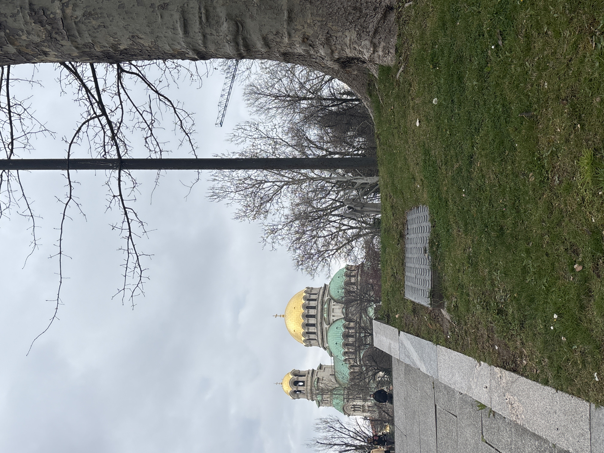 The image depicts Alexander Nevsky Cathedral in Sofia, Bulgaria, framed by a tree trunk and branches in the foreground. A section of sidewalk and a grassy area are also visible. The sky is overcast, and a construction crane can be seen in the background. Pedestrians are visible near the cathedral.