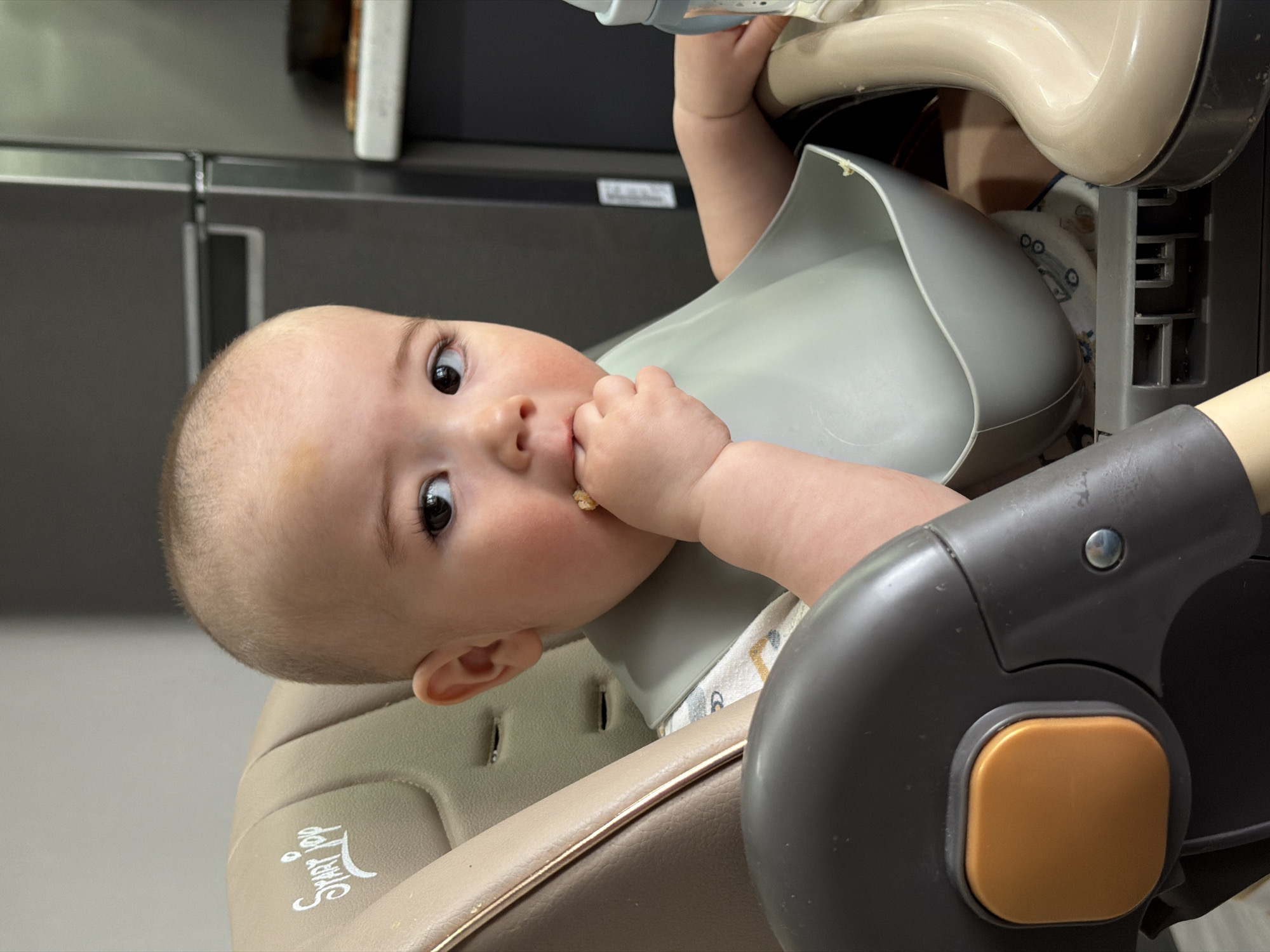 A baby sits in a high chair wearing a gray bib and eating. The high chair is beige and gray. The background includes kitchen cabinets, indicating an indoor environment. No information indicates the location as Chaikovsky, Russia.