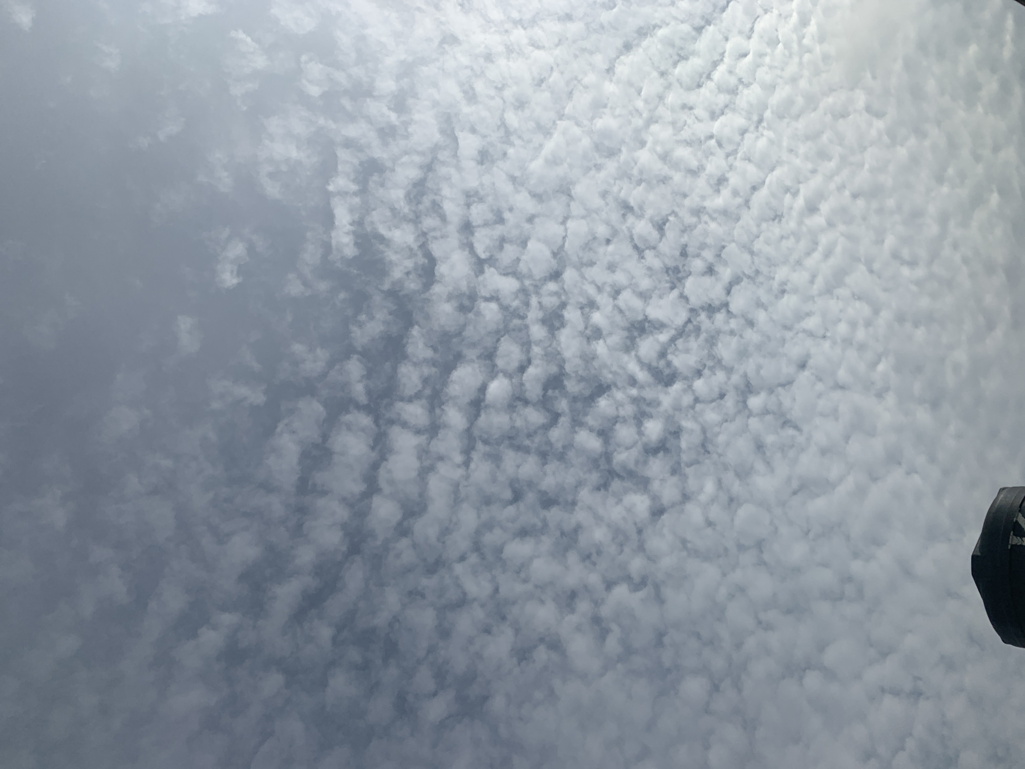 A wide-angle, upward-facing shot captures a vast expanse of pale blue sky filled with a dense, rippling pattern of small, white, puffy clouds. The clouds are evenly distributed across the frame, creating a textured, almost quilted appearance. In the bottom left corner, the top of a dark, cylindrical object with a light-colored horizontal band is visible. The object appears to be an industrial structure, possibly a water tower or storage tank. The lighting suggests it is daytime, but the overcast sky diffuses the sunlight. The scene is devoid of human presence or any other discernible objects or activities.