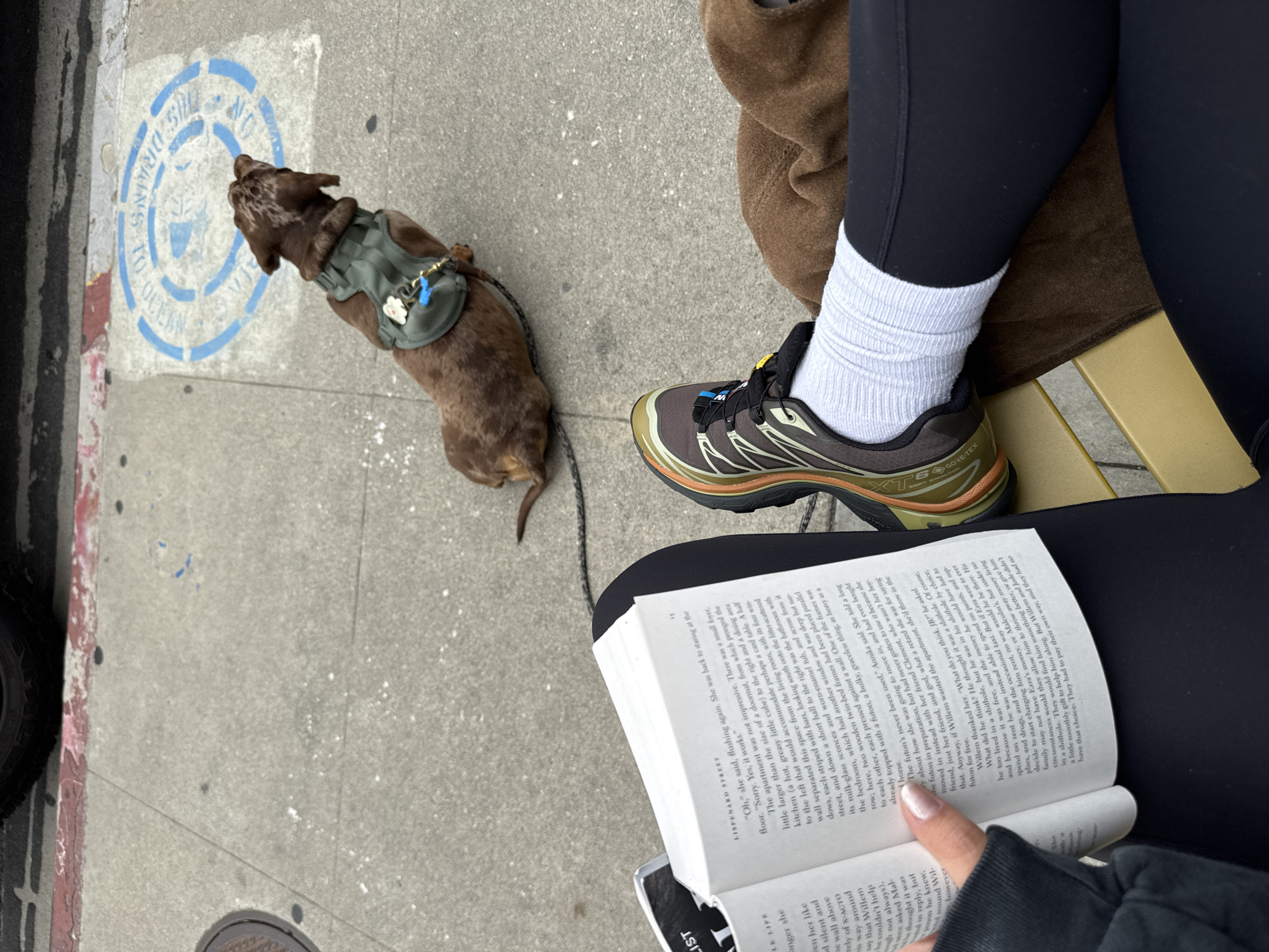 The image depicts a person sitting on a bench, reading a book with a brown dachshund at their side. The person is wearing black leggings, white socks, and brown and green running shoes. The book is open, showing printed text. The dog is wearing a green harness and stands on a sidewalk with a stencil marking indicating, "No Drains To Ocean". The location of the image is Los Angeles, United States of America.