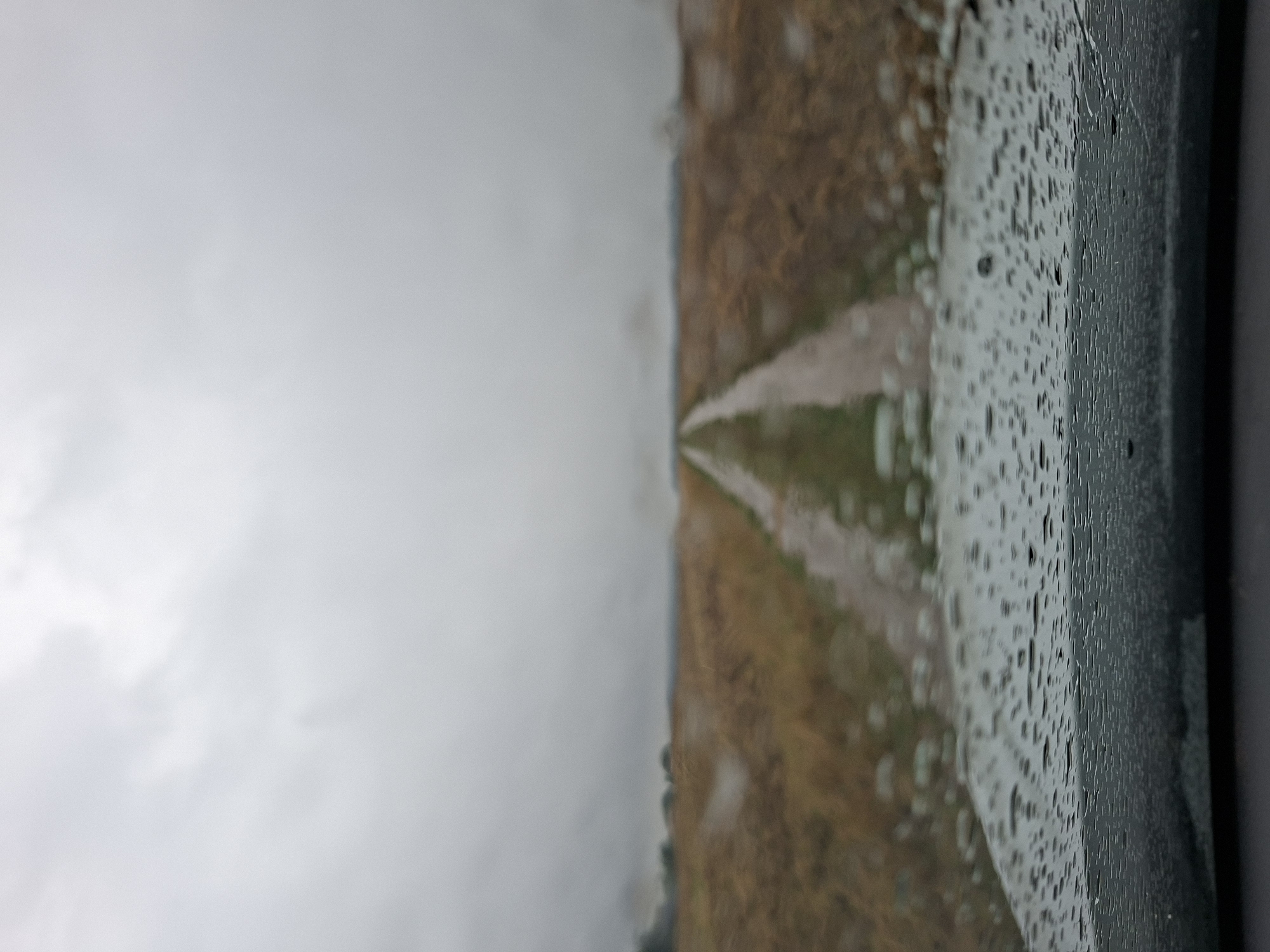 The image depicts a desolate rural road in the vicinity of Славенскі сельскі Савет, Belarus, on a heavily overcast day. The foreground is dominated by the hood of a vehicle, covered in raindrops, suggesting recent precipitation. Beyond the vehicle, a dirt road stretches into the distance, flanked by fields of dry, brown vegetation. The road appears somewhat muddy, with streaks of water visible. The horizon is obscured by a thick layer of grey clouds, contributing to the somber atmosphere. There are no people or animals visible in the scene, and no structures are apparent, emphasizing the isolation of the location. The overall impression is one of a quiet, unremarkable, and slightly melancholic rural landscape.