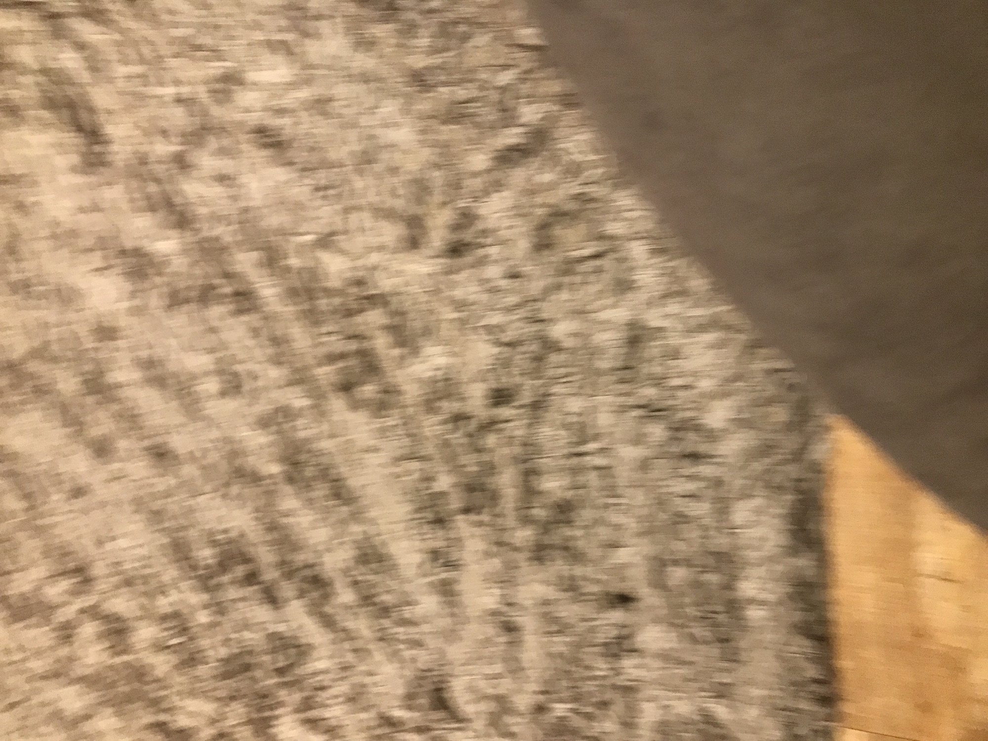 The image shows a close-up, blurred view of a patterned carpet or rug with a tan-colored wooden floor and a gray object partially visible in the frame. The details of the pattern on the carpet are difficult to discern due to the blur. The composition and lack of context suggest the photograph might have been taken indoors. There is no information to infer the location as Yerevan, Armenia.