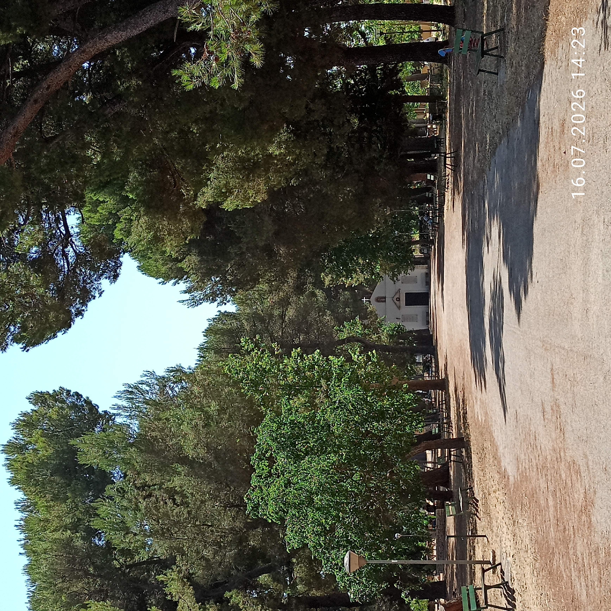 This is a medium shot, taken outdoors on a sunny day, looking down a tree-lined pathway towards a small white building with a cross on top, likely a church or chapel. The pathway is made of dirt and gravel, with patches of dry grass and sparse trees on either side. Several park benches are visible along the sides of the pathway, some empty and some occupied by unseen individuals. The trees are tall and dense, creating a canopy that casts shadows on the path. In the foreground, a single green park bench sits on the left, and a lamppost is nearby. The date stamp "16.07.2026 14:23" is visible in the bottom right corner. The scene appears to be a park or a public garden within the city of Grumo Appula, Italy, judging by the architectural style of the building and the presence of pine trees, which are common in the Mediterranean region.