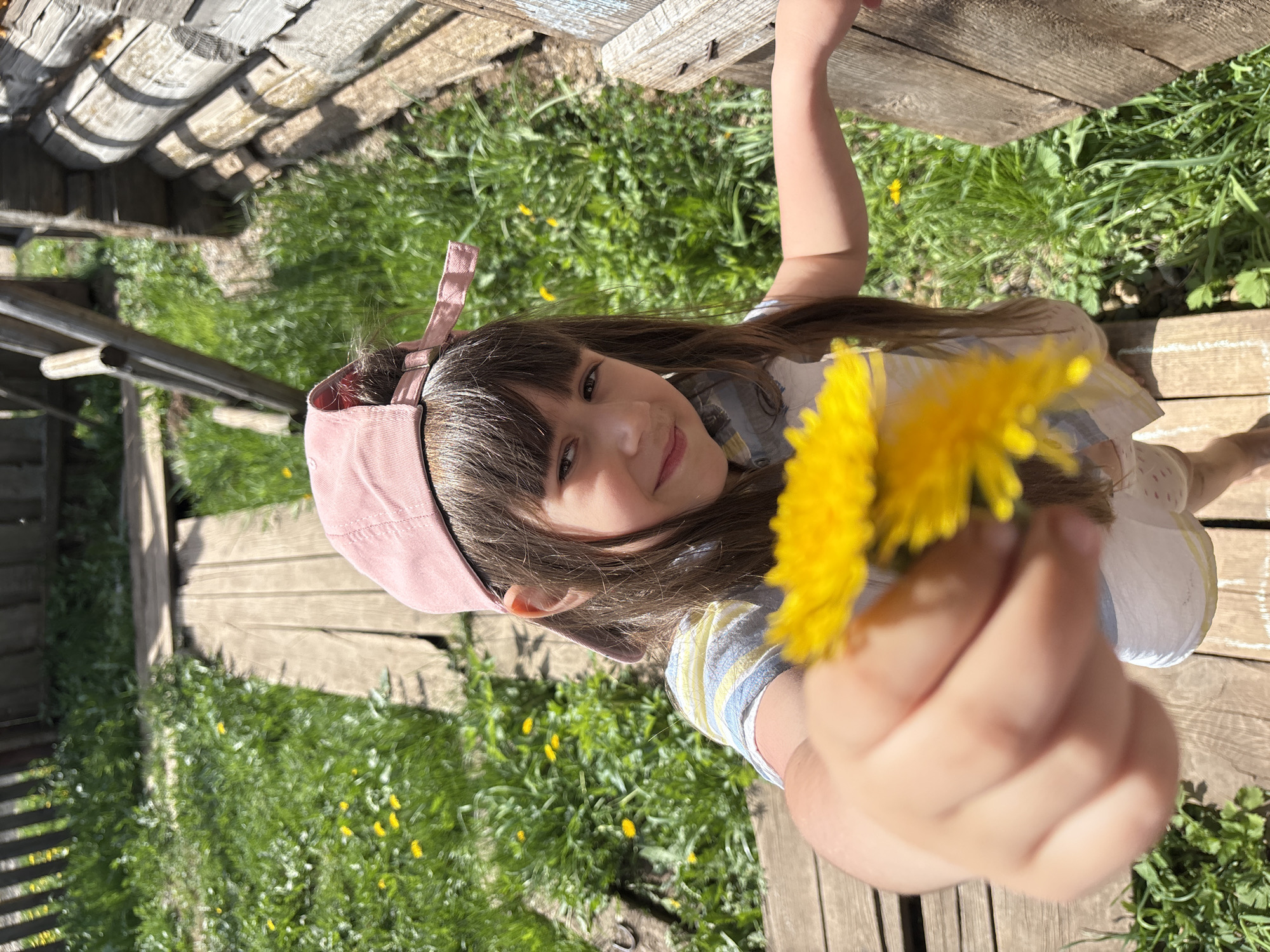 A young girl with brown hair and bangs, wearing a pink cap with a bow, is holding a yellow dandelion flower towards the camera. She is smiling slightly. The background consists of green grass with small yellow flowers, wooden planks, and part of a wooden structure that appears to be a well or similar rustic construction. Based on the location provided, this scene is likely located in or around Nizhnyaya Chermoda, Russia.