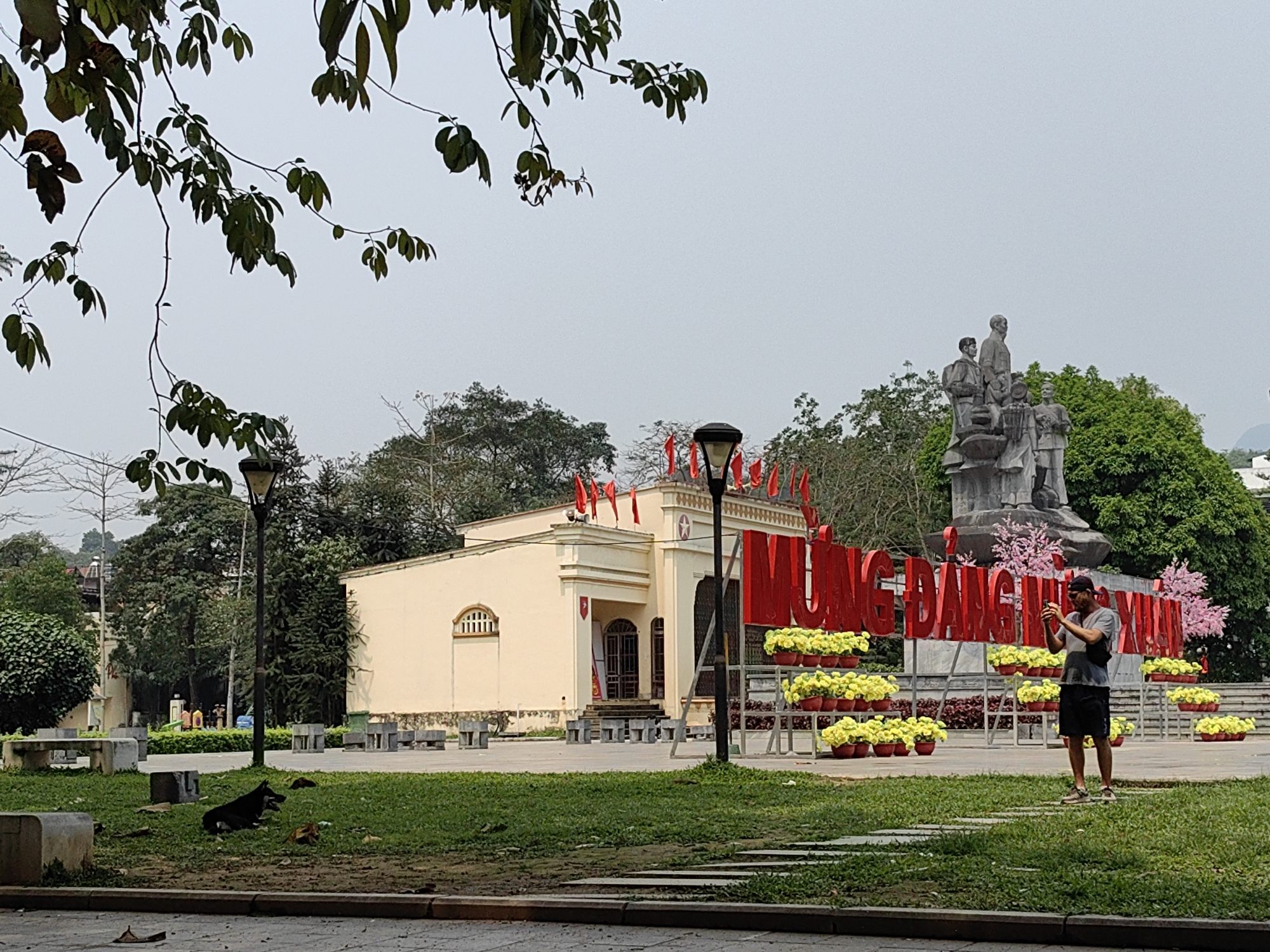 Captured in Thành phố Hà Giang, Vietnam, the scene presents a daytime, outdoor setting with a muted, overcast sky. The lower portion of the image is dominated by a grassy lawn. A man, dressed in a gray t-shirt and black shorts, stands on the lawn, holding and looking at a mobile phone. He appears to be taking a picture. Behind him, large red letters spelling out 'MỪNG ĐẢNG MỪNG XUÂN' stand, interspersed with potted yellow flowers. A statue of several people is visible in the background, positioned atop a large concrete plinth. A tan building is also situated behind the sign, adorned with red flags along the roofline. Additional trees are present, contributing to the park-like environment, and two street lamps stand in the vicinity. In the foreground, a dark-colored dog lies on the grass. The image is framed by the branches of a tree in the upper left corner.