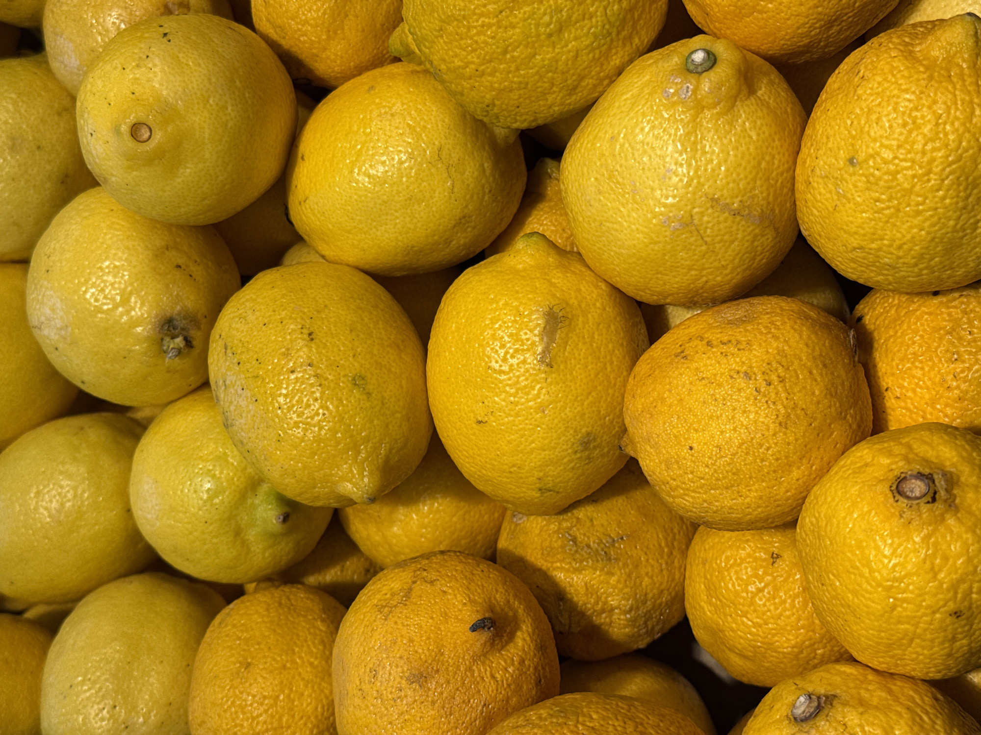 The image presents a close-up, full-frame view of a densely packed pile of numerous yellow citrus fruits, consistent with lemons. The fruits are irregularly shaped and vary slightly in size, featuring a textured, dimpled skin. Their color ranges from bright yellow to a slightly more muted, warm yellow, with occasional subtle greenish tints, particularly around the stem scar or navel. Some fruits exhibit minor blemishes, dark spots, or small stem remnants. The lighting is soft and even, highlighting the three-dimensional forms of the fruits without casting harsh shadows. No people, specific actions, or discernible environmental context beyond the aggregation of the fruit itself are visible. The scene provides no visual information to determine a specific location, such as the city of Murom, Russia.