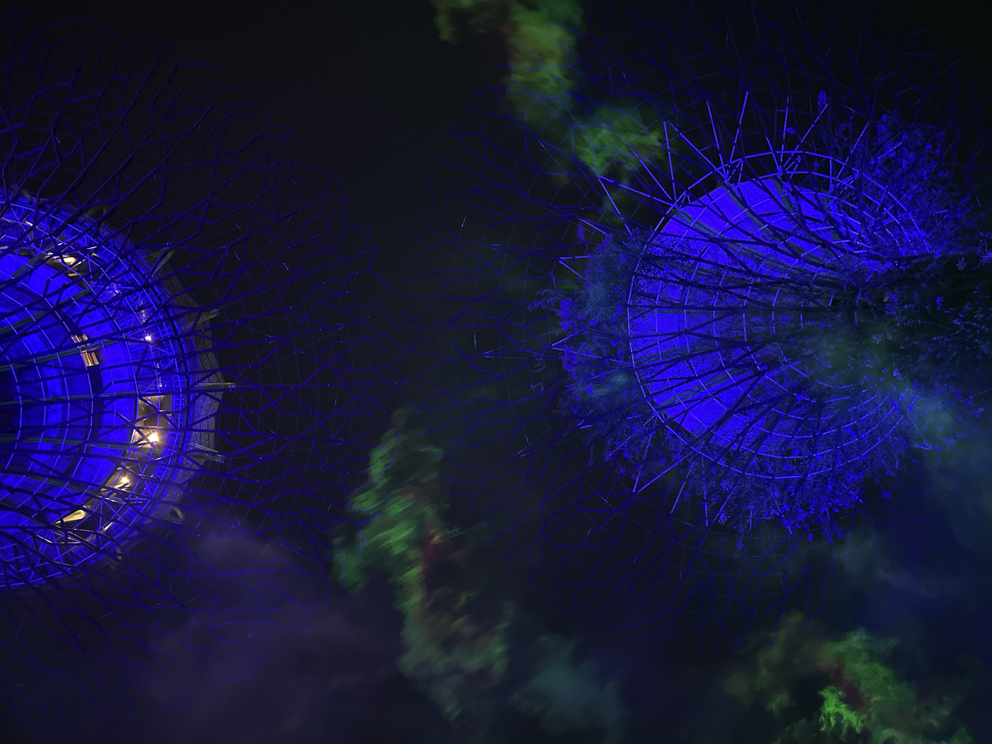 This image depicts the Supertree Grove at Gardens by the Bay in Singapore at night. Two large Supertrees are visible, illuminated with vibrant blue lights. The structures are characterized by their intricate lattice-like exteriors and the foliage growing around their bases. In the background, streaks of green and red light suggest a light show or atmospheric effects, creating a dynamic and futuristic ambiance against the dark sky. The perspective is looking upwards, emphasizing the scale and grandeur of the Supertrees.