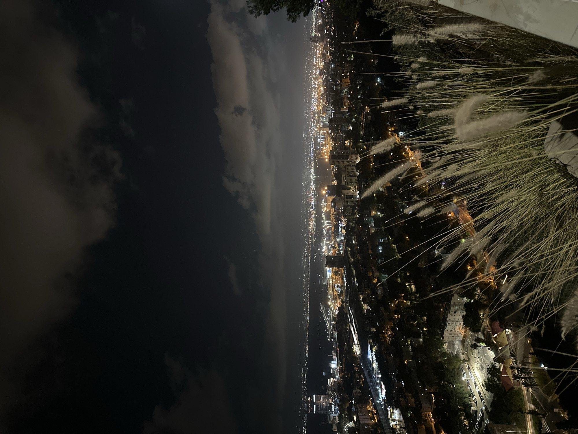 A nighttime panoramic view of the city of Haifa, Israel, stretches across the frame. The foreground is dominated by tall, feathery grasses, silhouetted against the illuminated cityscape and night sky. The city lights form a luminous tapestry below, with buildings, roads, and a harbor clearly visible. The ocean and distant coastline are discernible in the background, bathed in the soft glow of the city. The sky above is dark, with scattered clouds catching the ambient light. The perspective is from an elevated position, suggesting a viewpoint from one of Haifa's hills.