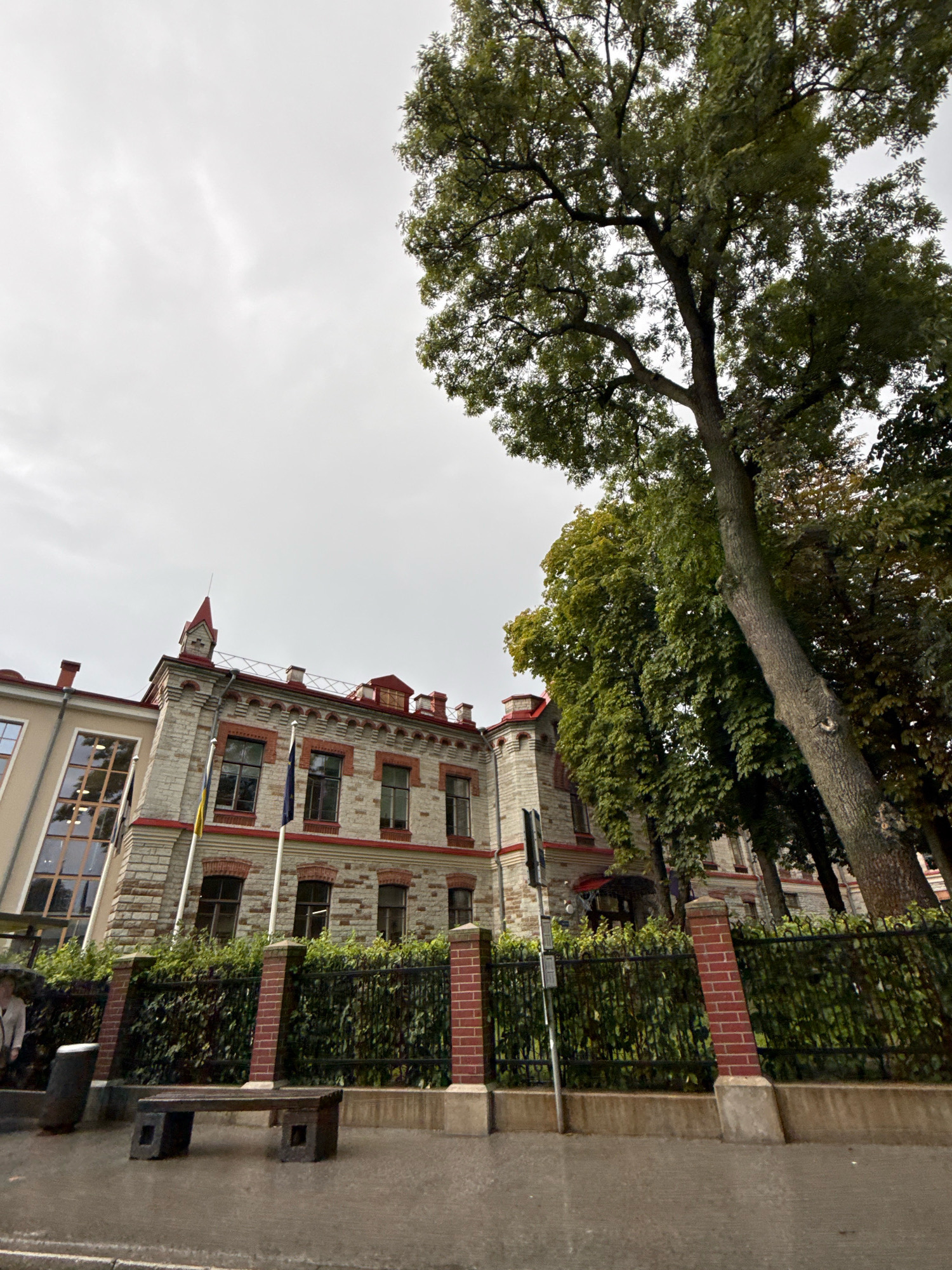 An exterior, low-angle shot shows a brick building with red trim and large windows on a cloudy day in Tallinn, Estonia. Two flags, one yellow and blue, and one blue, are planted in front of the building. A large tree with green leaves is visible in the foreground, partially obscuring the building. A black metal fence with brick posts runs in front of the building, separating it from a sidewalk and a street. A wooden bench is positioned on the sidewalk, and a black trash can is next to it. The street appears wet, suggesting it has recently rained.