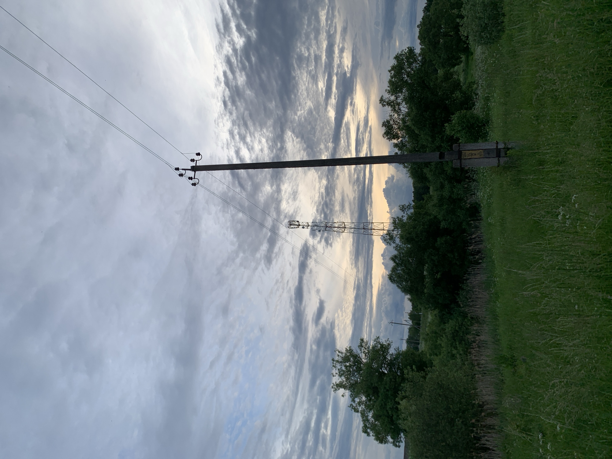 This image depicts a rural landscape at dusk in Відзаўскі сельскі Савет, Belarus. The sky is largely overcast with stratocumulus clouds, transitioning from a lighter blue-grey on the left to darker grey on the right, with a distinct band of pale orange and yellow light visible near the horizon, indicative of sunset or sunrise.
In the foreground, a dense field of tall, green grass dominates the lower portion of the frame, interspersed with lighter-colored dried reeds and scattered small white wildflowers.
A weathered wooden utility pole stands prominently in the midground on the right, equipped with multiple ceramic insulators and two parallel power lines extending diagonally upwards and off-frame to the upper right. A small, rectangular yellow sign with indecipherable dark markings is affixed to the base of this pole. Further into the midground, to the left of the center, a tall metal lattice tower, equipped with multiple antennae, likely a cellular or radio communication tower, is visible. A dense band of mature green deciduous trees and bushes stretches horizontally across the midground, forming a natural barrier between the foreground and the distant horizon.
No human figures or animals are discernible within the frame. The lighting suggests late evening with diffused light filtering through the clouds and a warmer glow near the horizon.