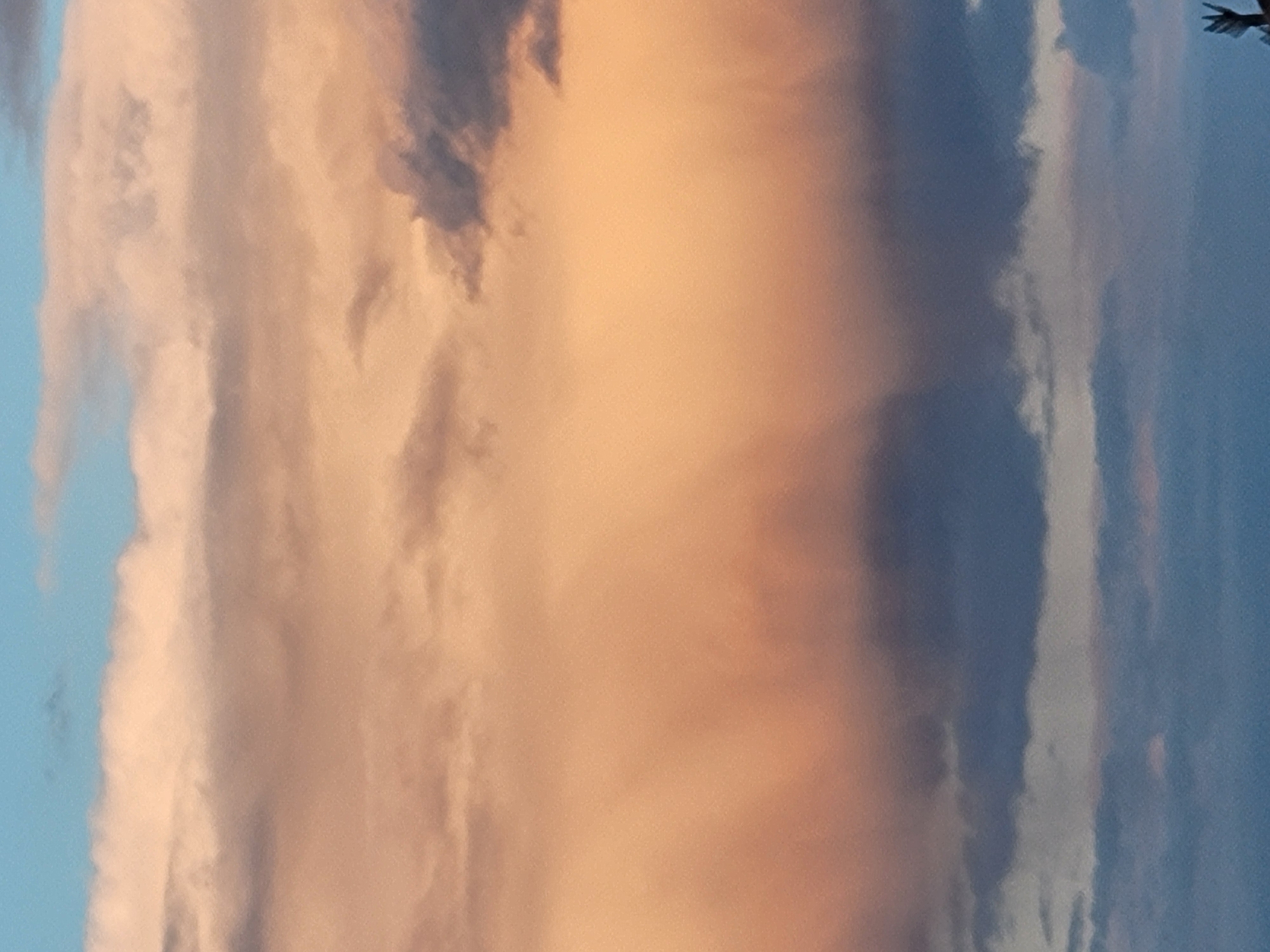 The image depicts a sky filled with clouds during what appears to be sunset or sunrise. The clouds are varied in color, with tones of peach, pink, and blue, suggesting the presence of warm light. Some clouds are dark and appear lower in the sky, while others are lighter and higher. The sky transitions from a pale blue at the very top to darker hues of blue towards the bottom, where the tops of objects are visible. In the bottom right corner, a silhouette of what seems to be a person with their hand raised is discernible. The scene is a natural landscape without any discernible urban features, thus the location cannot be determined as "Unknown, Unknown" within a city.