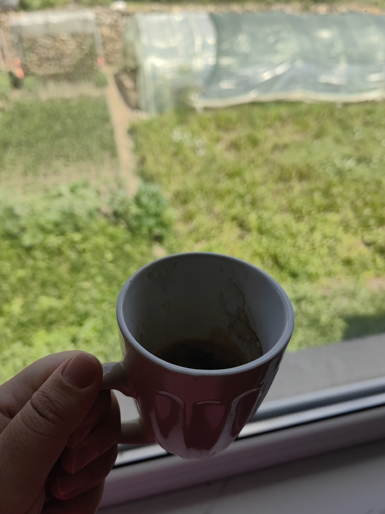 A person's hand, with visible fingernails and skin texture, holds a small white coffee cup filled with dark liquid. The cup has a subtle ribbed pattern and a thin handle. The background is out of focus, showing a blurred green landscape with what appears to be a greenhouse or covered structure. The overall scene suggests a relaxed moment, possibly on a windowsill overlooking a garden. The specific location in Djerovo, Bulgaria, cannot be determined from the visual information provided in the image.