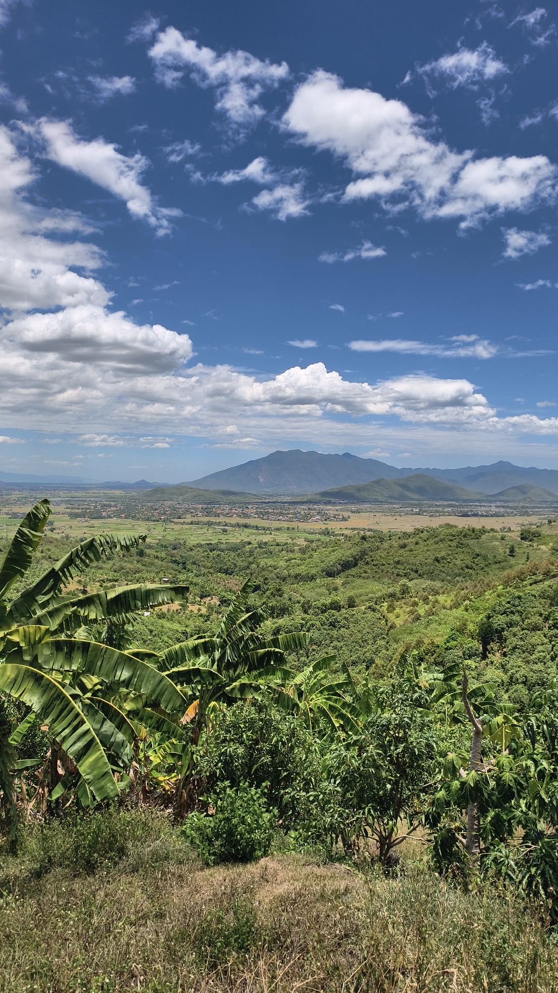 This image depicts a panoramic view of the landscape surrounding Nam Ninh Hoa, Vietnam, on a bright, partly cloudy day. In the foreground, lush green banana leaves and other dense vegetation dominate the lower left and center. The middle ground transitions into rolling hills covered in various shades of green trees, with patches of drier grass and undergrowth in the immediate foreground.
Further into the distance, a flat valley stretches out, dotted with buildings and agricultural fields, suggesting a rural or semi-urban area. A river or body of water is visible winding through the valley. In the background, a series of majestic, mist-shrouded mountains form the horizon, their peaks softened by the atmospheric haze. The sky is a vibrant blue, punctuated by scattered white cumulus clouds. The overall scene conveys a sense of natural beauty and expansive, fertile land. No people or specific actions are visible in the image.