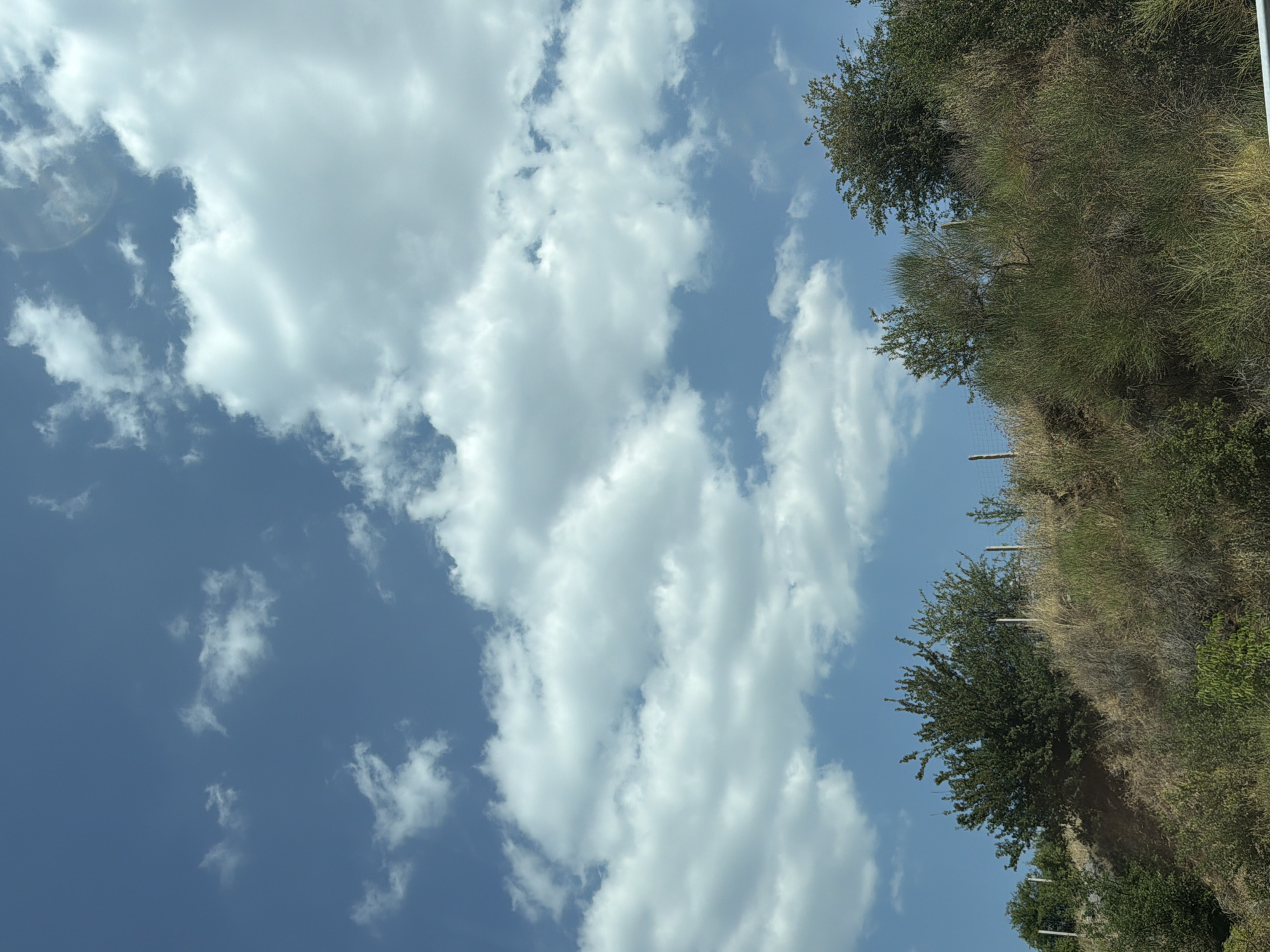 The image shows a natural landscape, likely a hillside, under a bright blue sky with scattered white clouds. The foreground is dominated by dry, brush-covered terrain and several trees and bushes. A wire fence runs along the top of the hillside. The scene does not depict any urban elements or people, and therefore cannot be specifically located within the Municipal Unit of Lyrkeia, Greece based solely on visual information.