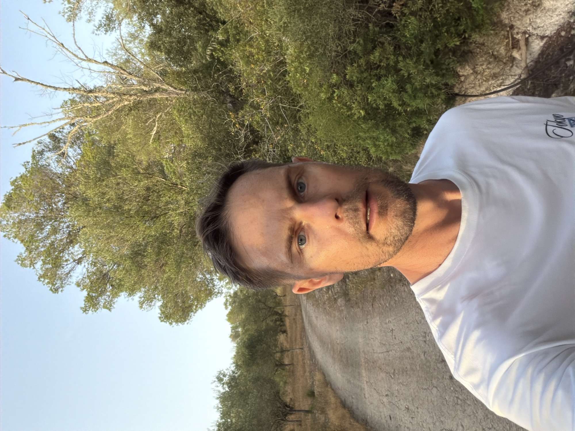 A man with short brown hair and stubble is captured in a selfie. He is wearing a white t-shirt. He appears to be outdoors, with a dirt road curving behind him and lined with trees. The foliage is dense and green, with some bare branches visible. The sky is clear and blue, suggesting it is daytime. The location is a rural area, possibly a hiking trail or a country road. The light suggests it might be late afternoon or early morning, as the sun casts a warm glow. The man's expression is neutral. The setting appears to be in the vicinity of Montuïri, Spain, given the dry, Mediterranean vegetation.
