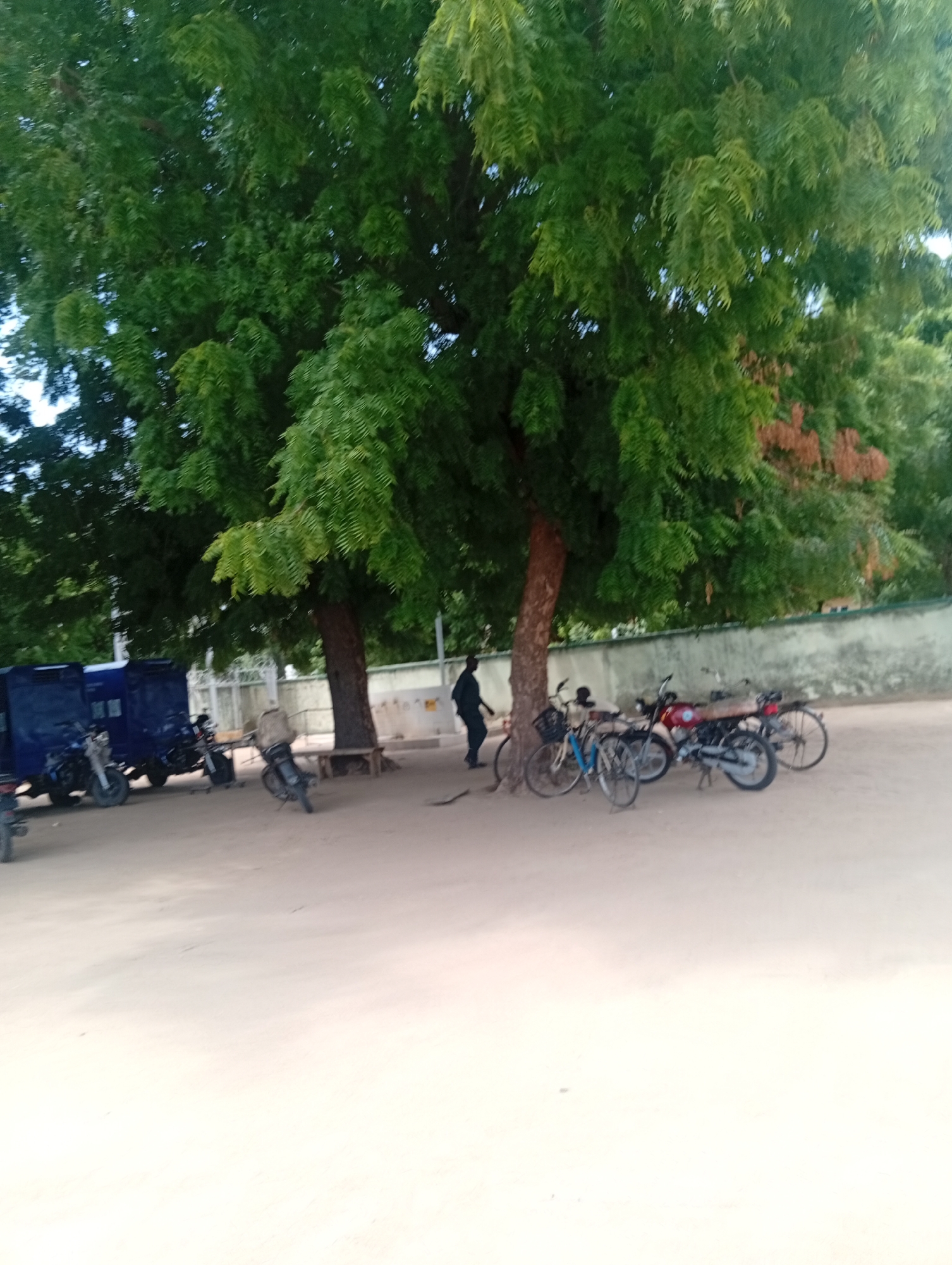 The image depicts an outdoor scene in Gulak, Nigeria, featuring a light-colored sandy ground beneath large, leafy trees. Several vehicles and bicycles are parked in the area. To the left, two blue vehicles, possibly vans or trucks, are visible. Several motorcycles are parked in front of these vehicles, with one white motorcycle prominently displayed in the foreground. To the right, a group of bicycles is parked near a tree and a bench. A dark-skinned person in a black shirt and pants is standing and walking to the right, partially obscured by the trees. The environment appears to be an open area, possibly a parking lot or a community space, with a light-colored wall in the background. The lighting suggests it is daytime.