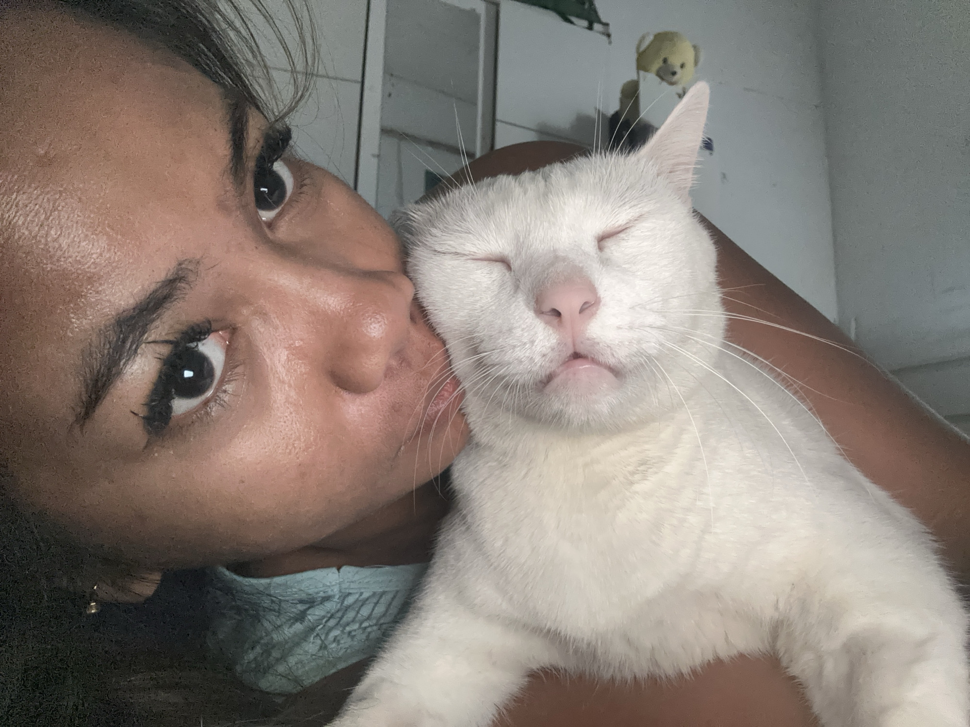 The image captures a close-up, intimate moment between a person and a white cat in an indoor setting, likely in North Jakarta, Indonesia. The person's face is partially visible on the left side of the frame, showing dark eyes, dark hair, and skin. She is holding the white cat close to her face, appearing to kiss or affectionately nuzzle its cheek.
The white cat is the central subject, prominently featured on the right. It has soft, pristine white fur, a pink nose, and long, delicate white whiskers. Its eyes are closed, conveying a sense of deep relaxation, contentment, or sleep. The cat's mouth is slightly open, revealing a hint of its pink tongue. The person's arm, with a light blue garment visible, supports the cat's body.
In the background, a light-colored wall with some architectural lines (possibly indicating a corner or furniture) is visible. A small, yellow teddy bear can be seen hanging or placed in the upper right background. The lighting is soft and even, suggesting an indoor environment. The overall mood is one of warmth, affection, and peaceful companionship. There is no visible text in the image.