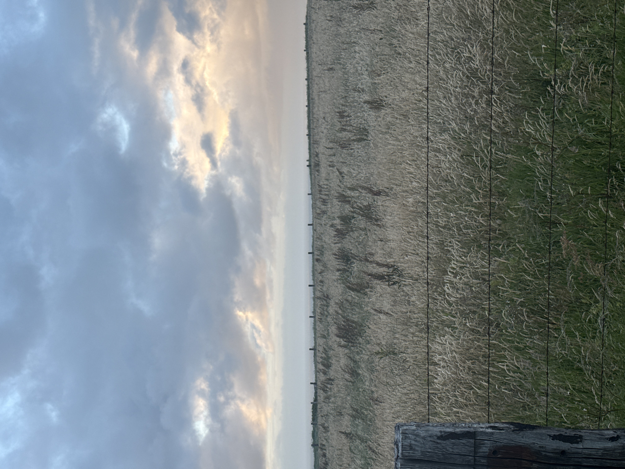 The image presents a serene rural landscape, likely near Fécamp, France. The upper portion of the frame is dominated by a vast sky filled with grey-blue clouds. Patches of soft, golden light break through the clouds on the left side, suggesting either the early morning hours of sunrise or the late afternoon light of sunset.
A faint, light grey horizon line stretches across the mid-distance, separating the sky from the distant land. Along this horizon, several slender, dark fence posts are visible, receding into the background.
The lower half of the image features an extensive field of tall grass or agricultural crops. The vegetation displays varying textures and hues, with lighter, possibly dried-out stalks intermingled with greener sections. A barbed wire fence runs horizontally across the field, closer to the foreground, marked by thin, dark lines of wire. In the bottom right corner, a weathered, dark wooden fence post stands prominently, grounding the foreground of the scene.
There are no people or specific activities taking place, and no visible text. The image captures a quiet, expansive moment in a natural, agricultural setting under a diffused, ambient light.