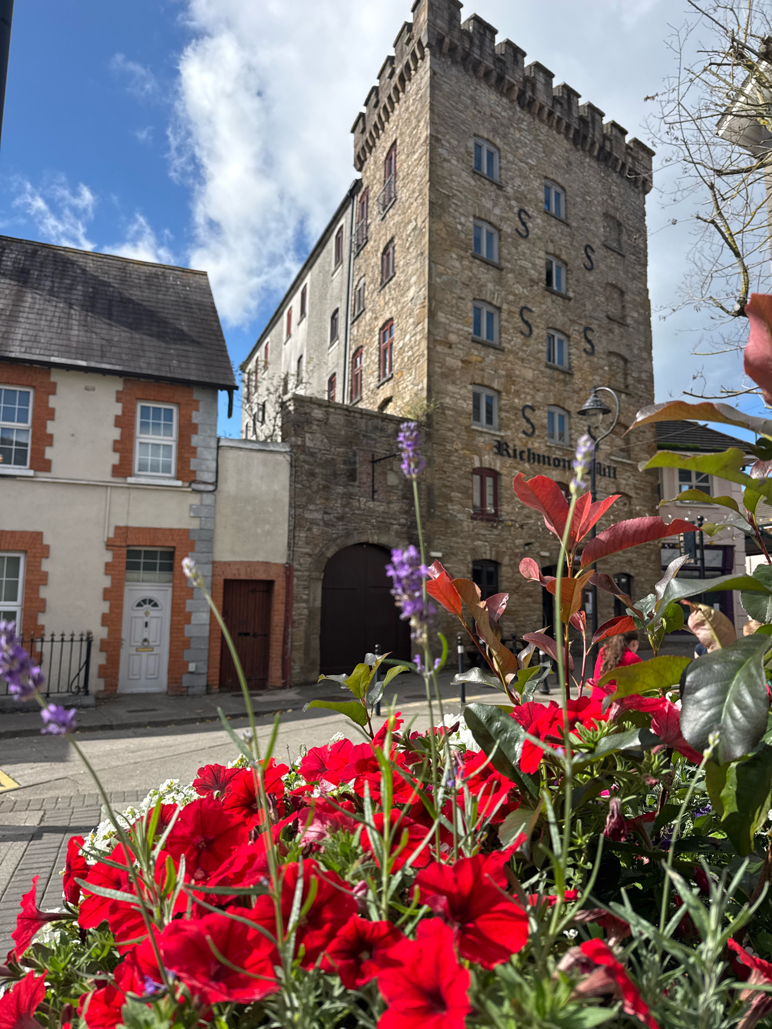 The image depicts a street scene in Clonmel, Ireland, featuring a prominent stone tower with crenellations, a neighboring multi-story building, and a smaller residential building. The stone tower, labeled "Richmond Mill", has several windows and large black "S" symbols on its facade. Adjacent to the tower is a lighter colored building with red-framed windows. To the left, a two-story house with white and orange brick accents and a white door is visible. In the foreground, a planter overflows with vibrant red petunias, lavender, and other greenery, partially obscuring the lower parts of the buildings. The sky above is blue with scattered white clouds. A street lamp is visible near the tower. The overall impression is of a historic urban environment bathed in sunlight.