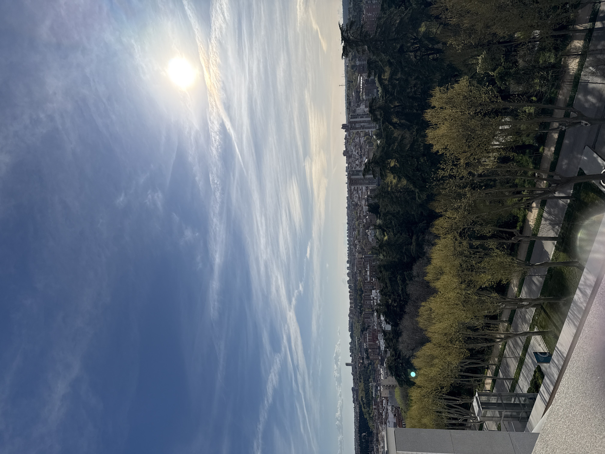 The image shows a high-angle view of Madrid, Spain, under a blue sky with wispy clouds and bright sunlight. A dense line of trees separates the immediate foreground from the urban landscape. A walkway is partially visible on the lower right. The city stretches into the horizon, with a mix of residential and commercial buildings.